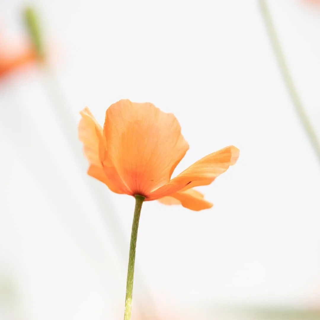 Should You Use ChatGPT for Help as a New Postpartum Mom?
