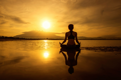 Science of Forest Bathing