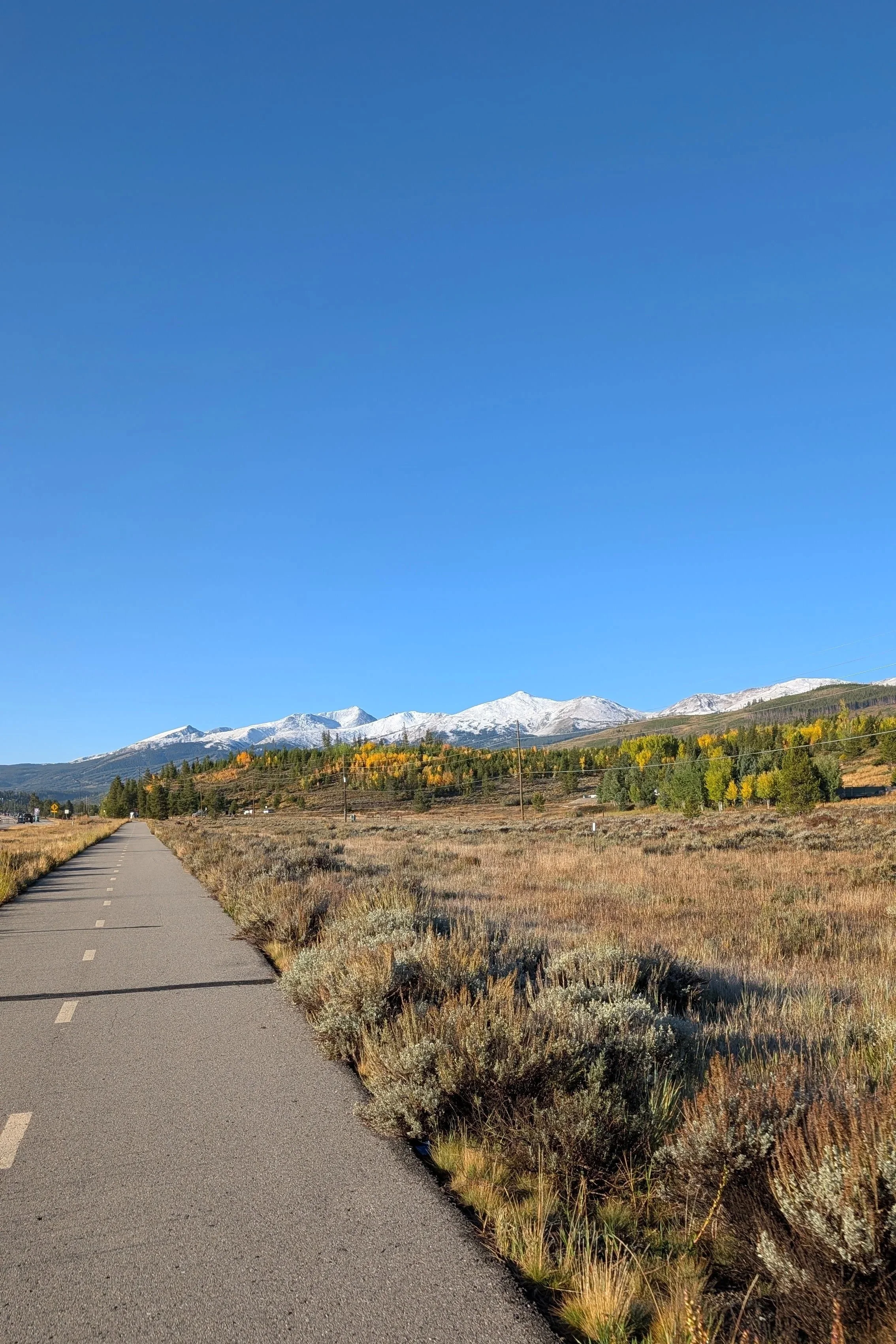 Breckenridge Home Services and Property Management