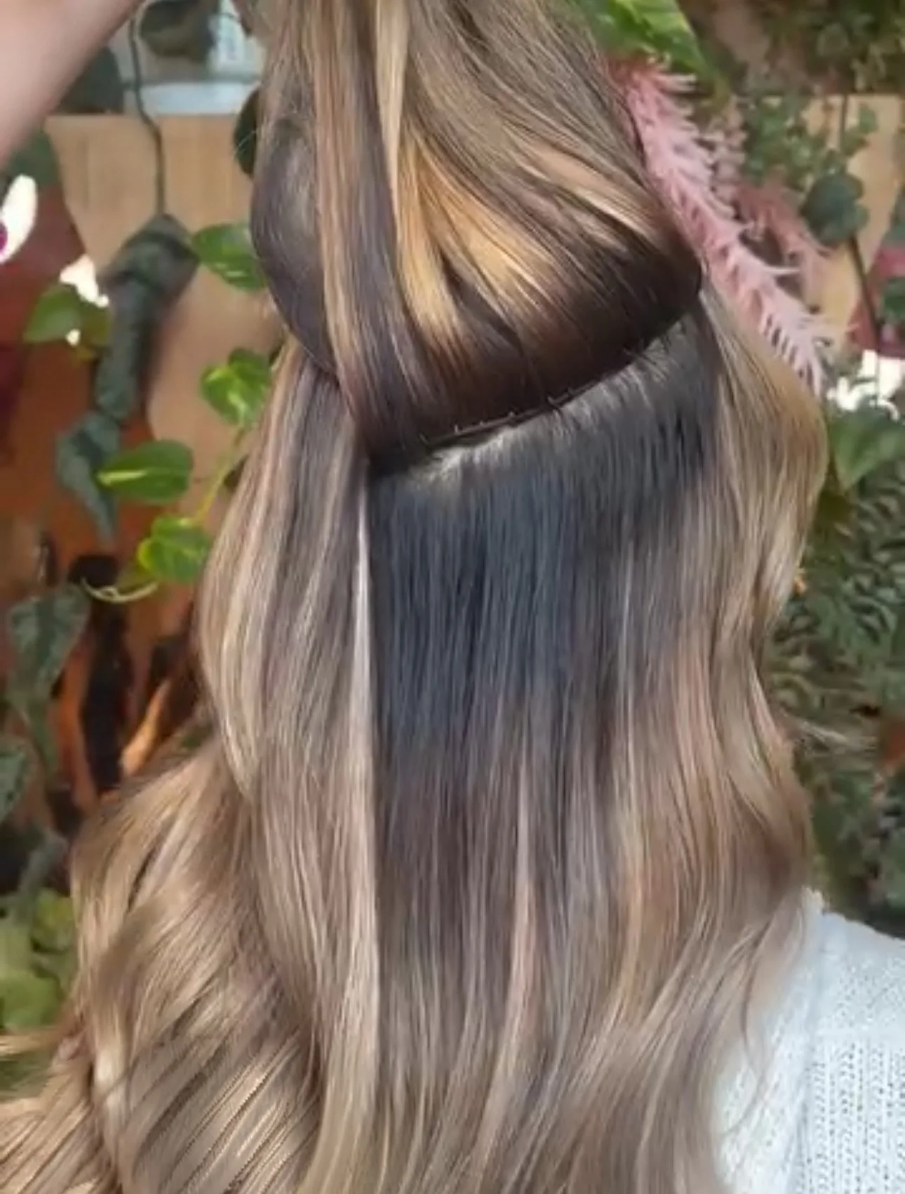 Zay_extensions_4.jpg
