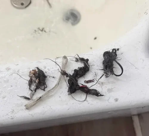 Clogged drain repair removing hair buildup in residential bathroom