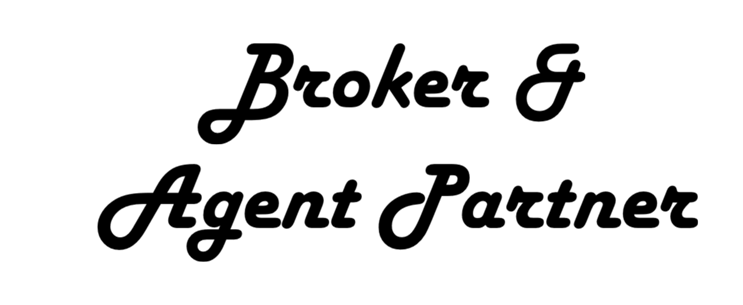 plumbing contractor for real estate