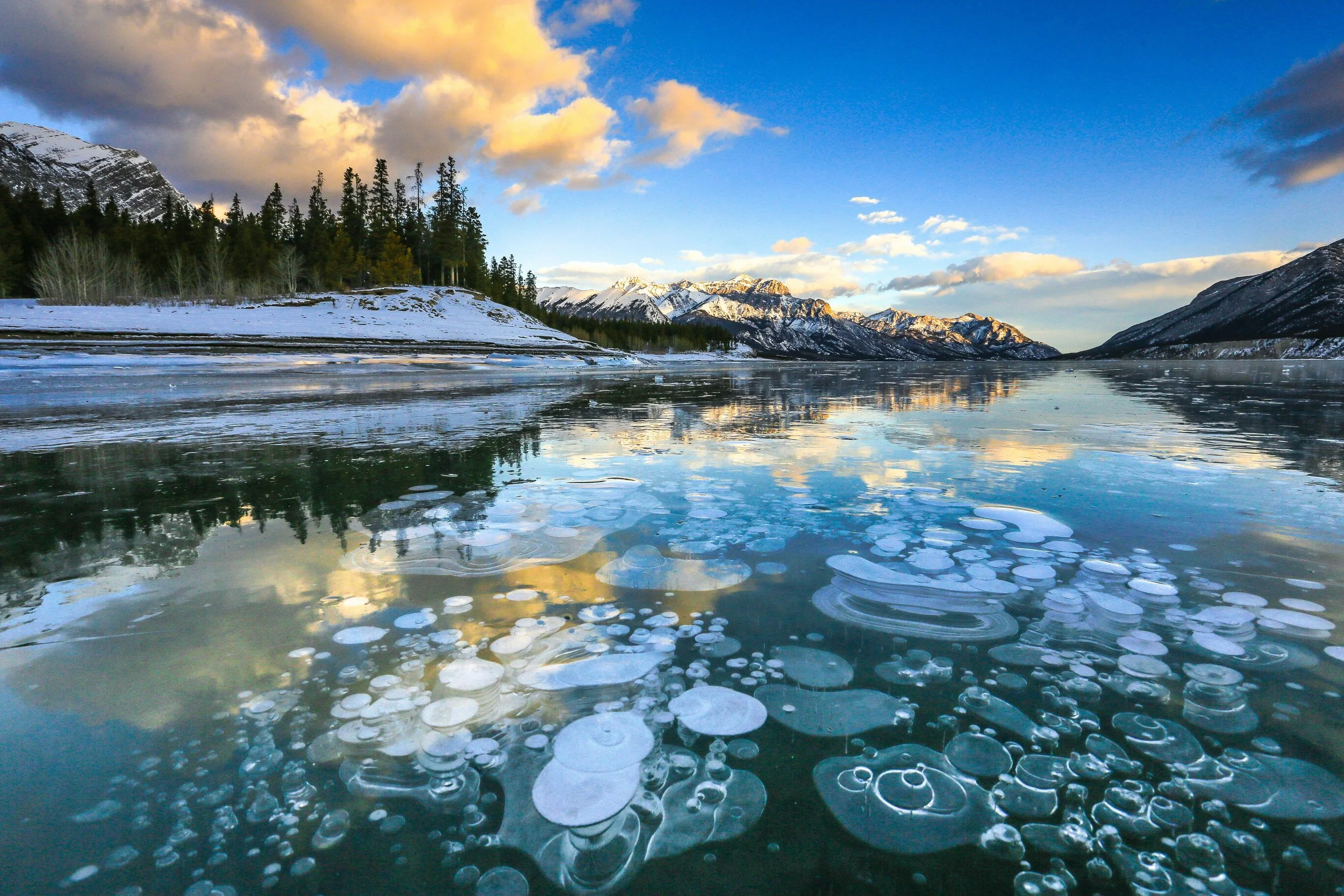 Photo of air bubbles in the ice of Abraham Lake, Clearwater County, AB (credit: David Wirzba)