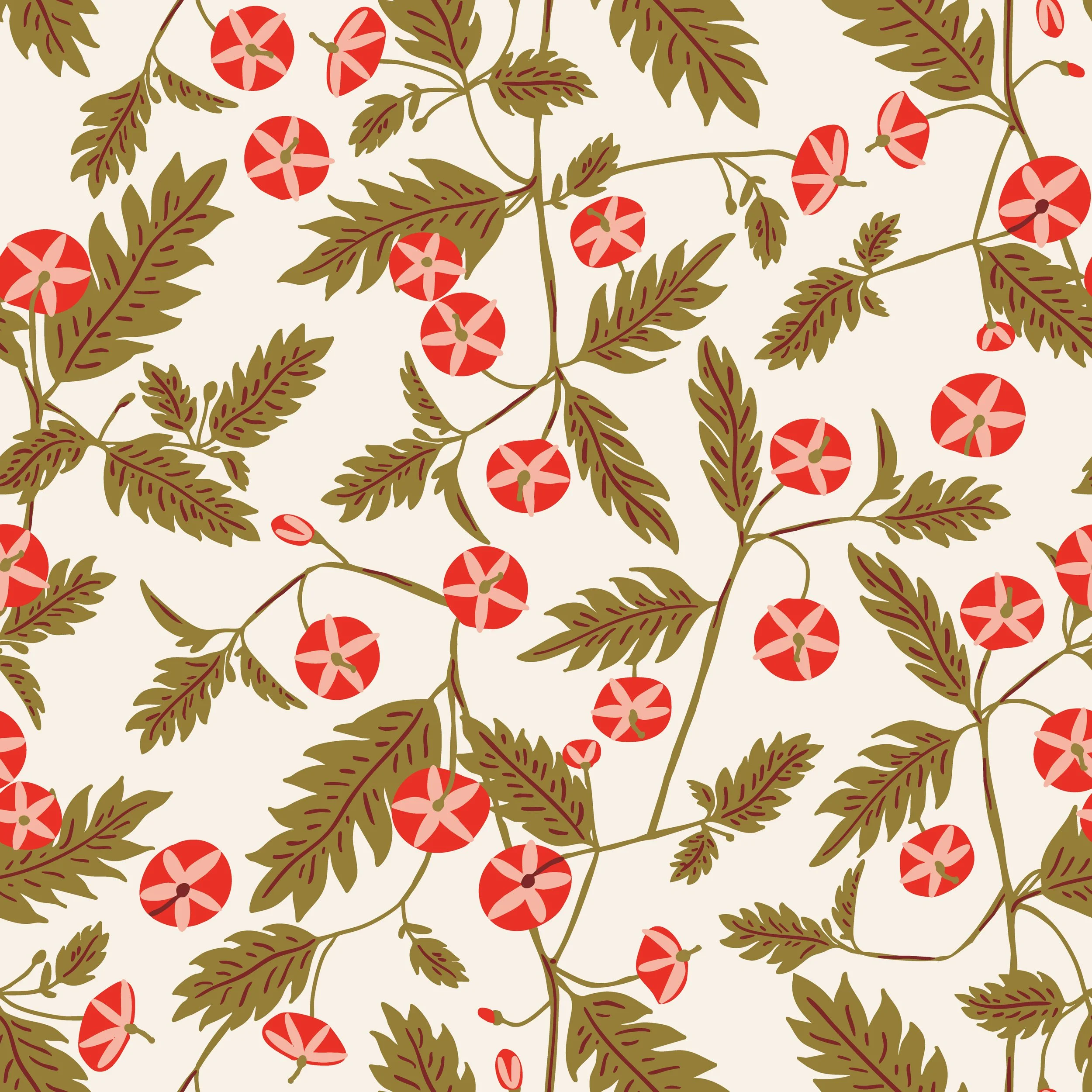 JUNIPER GLORIA
