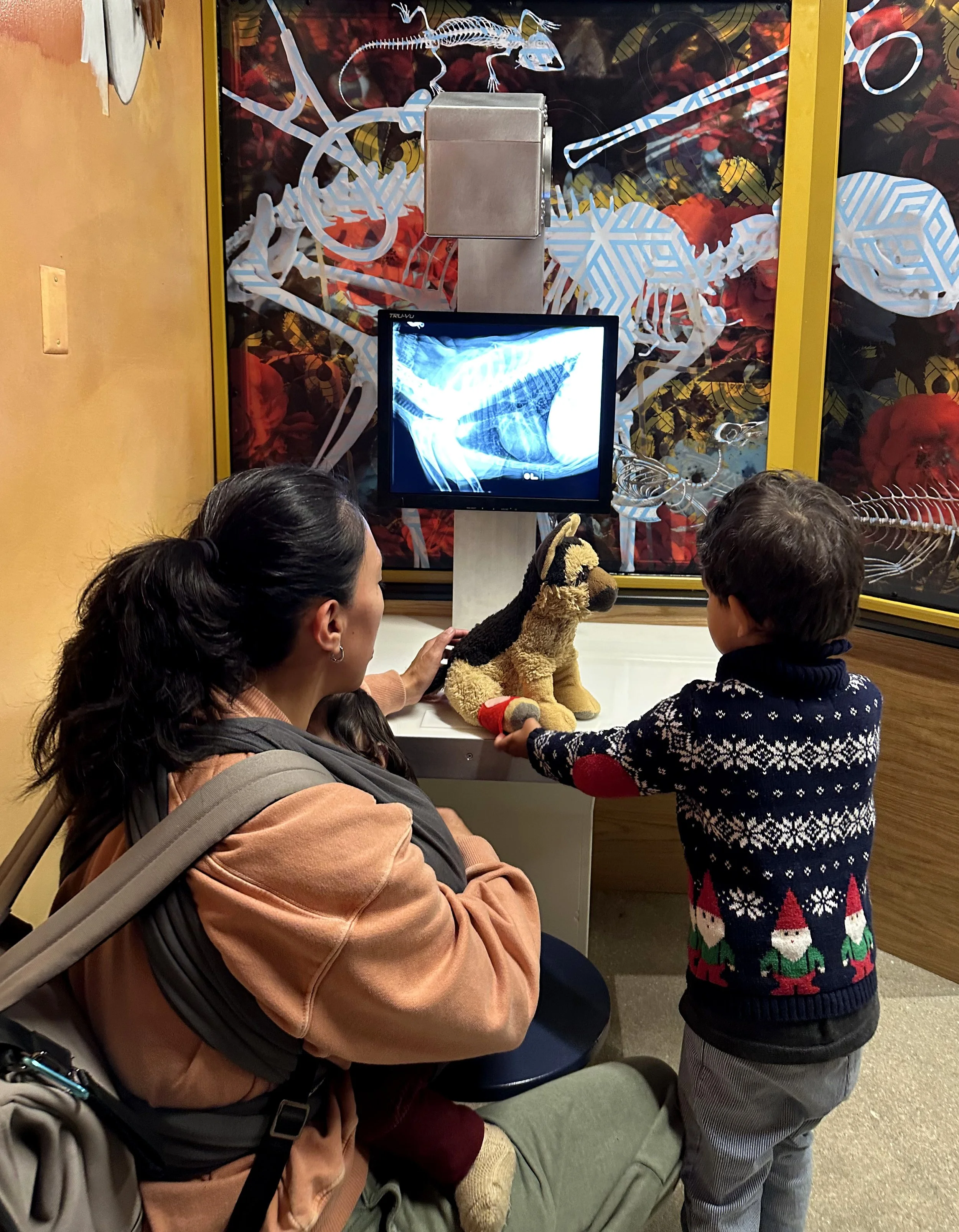 Ready Vet Go - Children's Museum of Denver at Marsico Campus (16).jpg