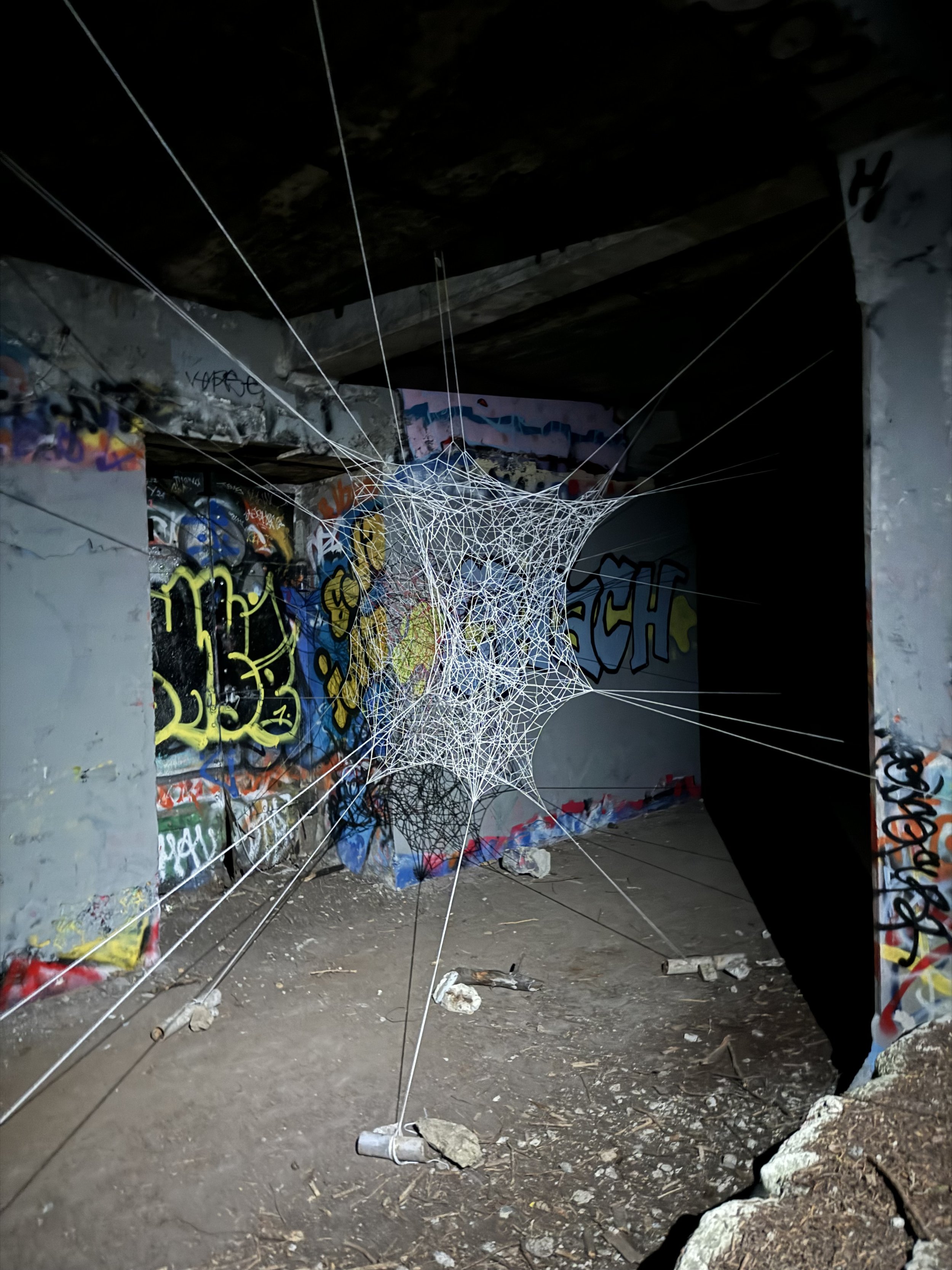 IMG_2851.jpeg