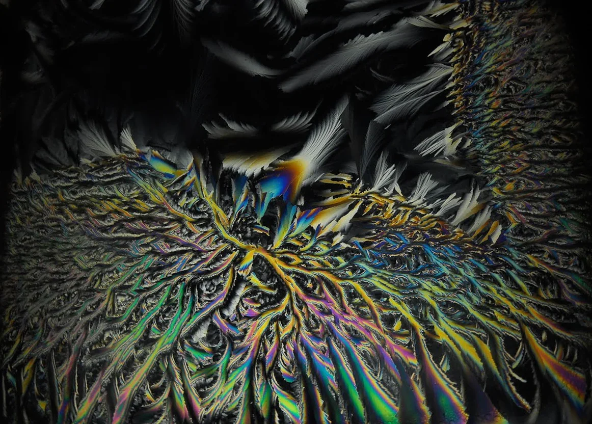 Ice_window2.jpg.webp