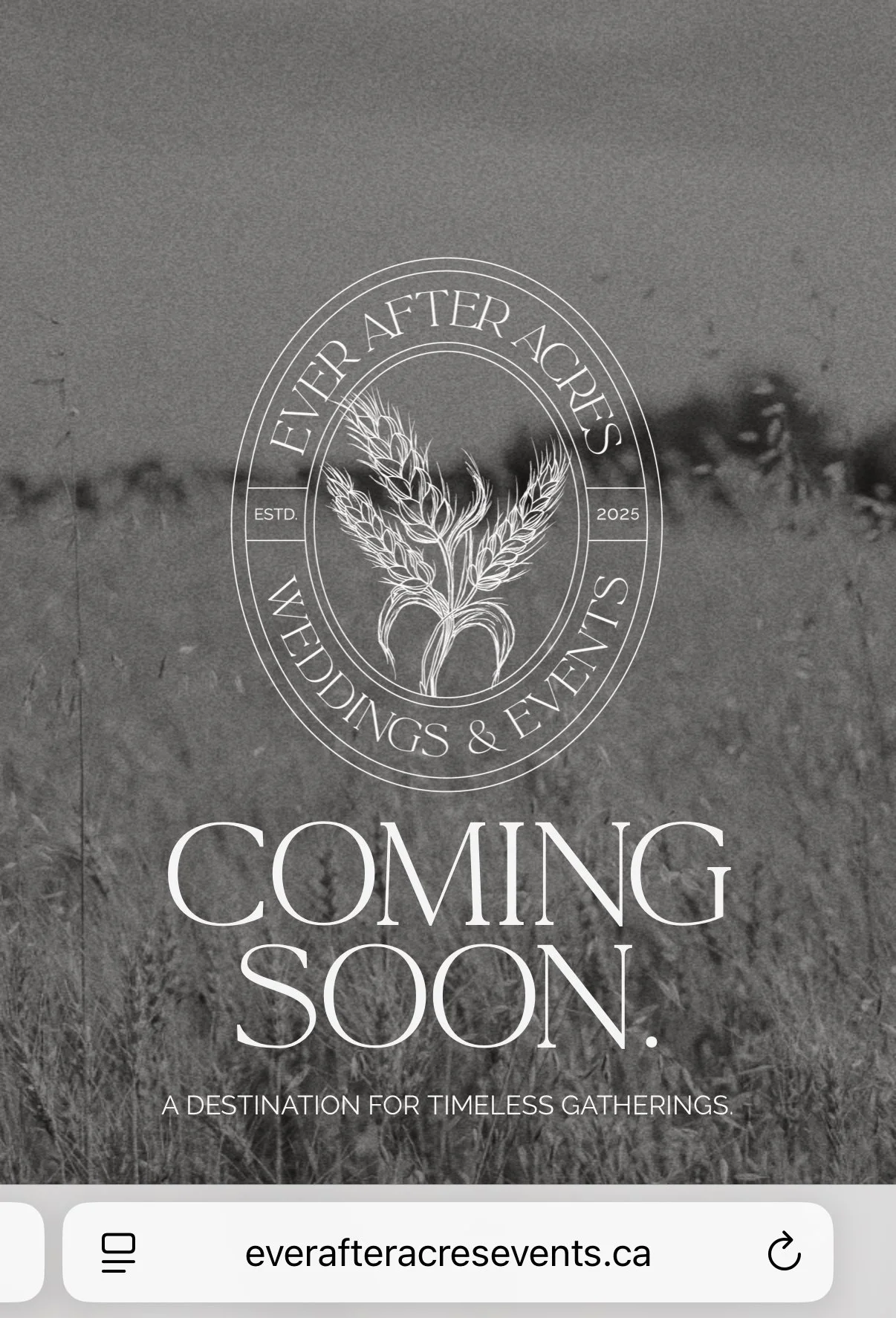 An advertisement for Ever After Acres Weddings & Events announcing an upcoming event, featuring a logo with wheat and stating 'Coming Soon' and ''A Destination for Timeless Gatherings'.