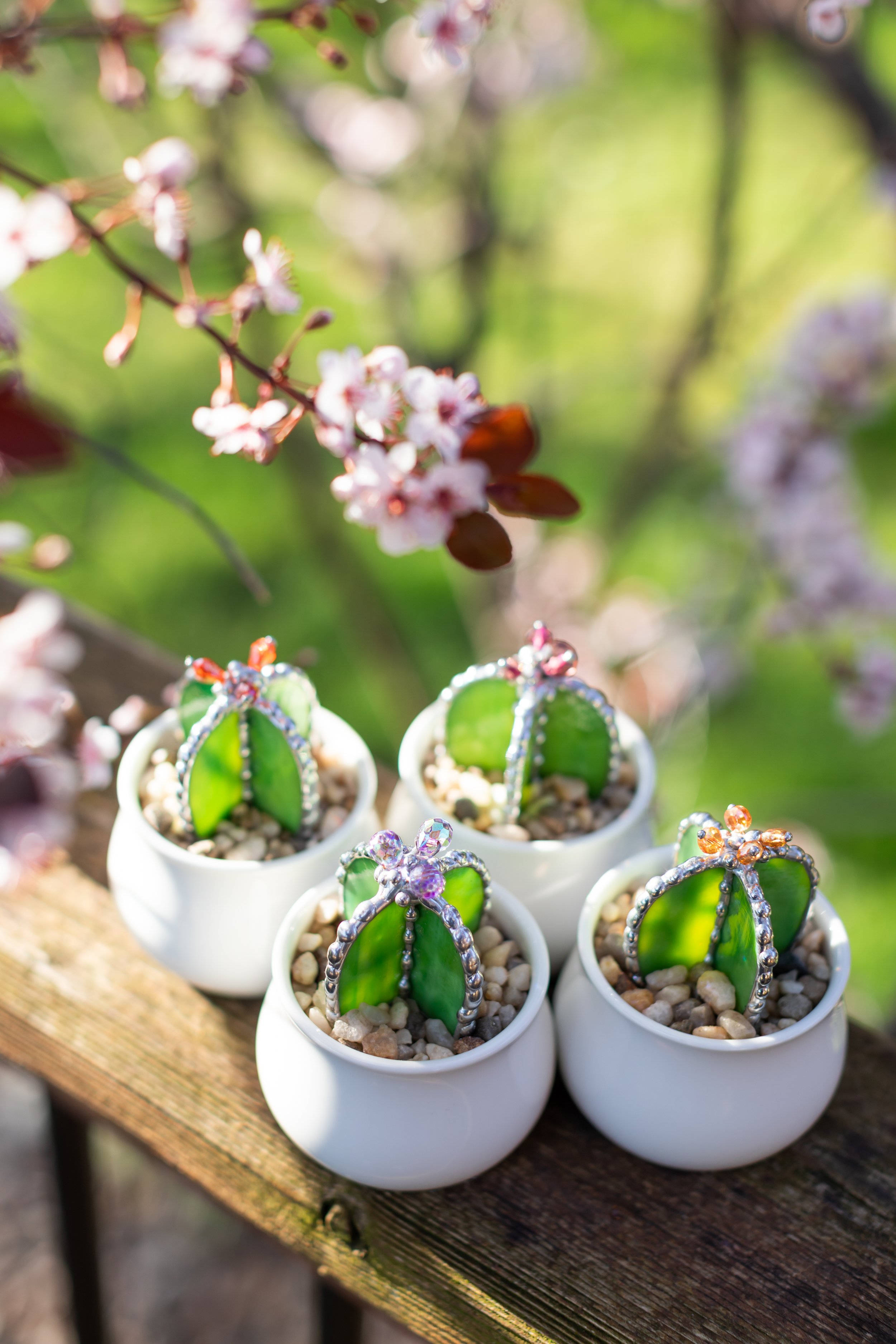 mini-cacti-6.jpg
