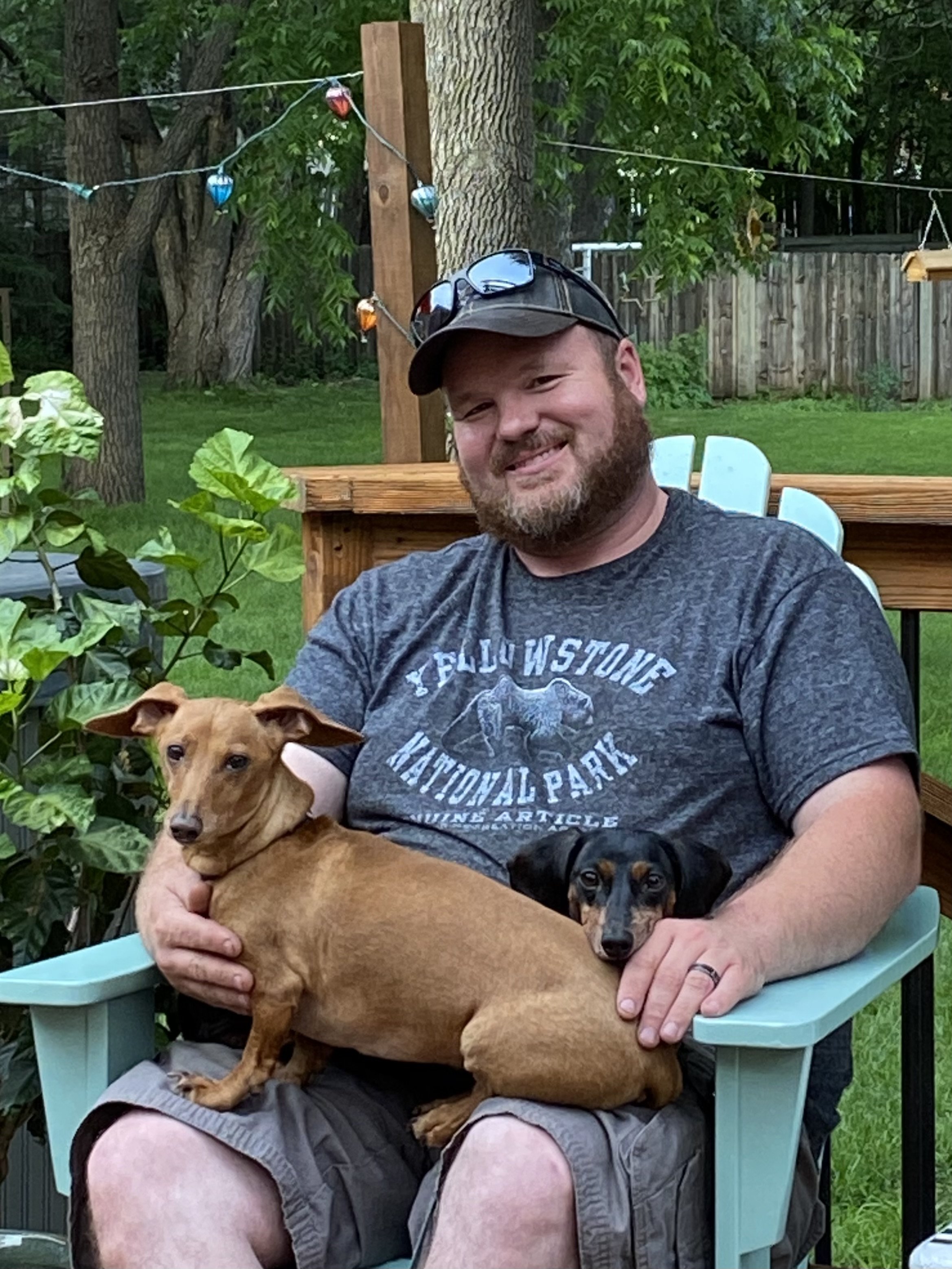 A man with a beard and sunglasses on his cap, sitting on a light blue chair outdoors in a backyard, holding a tan dachshund and a black and tan miniature dachshund.