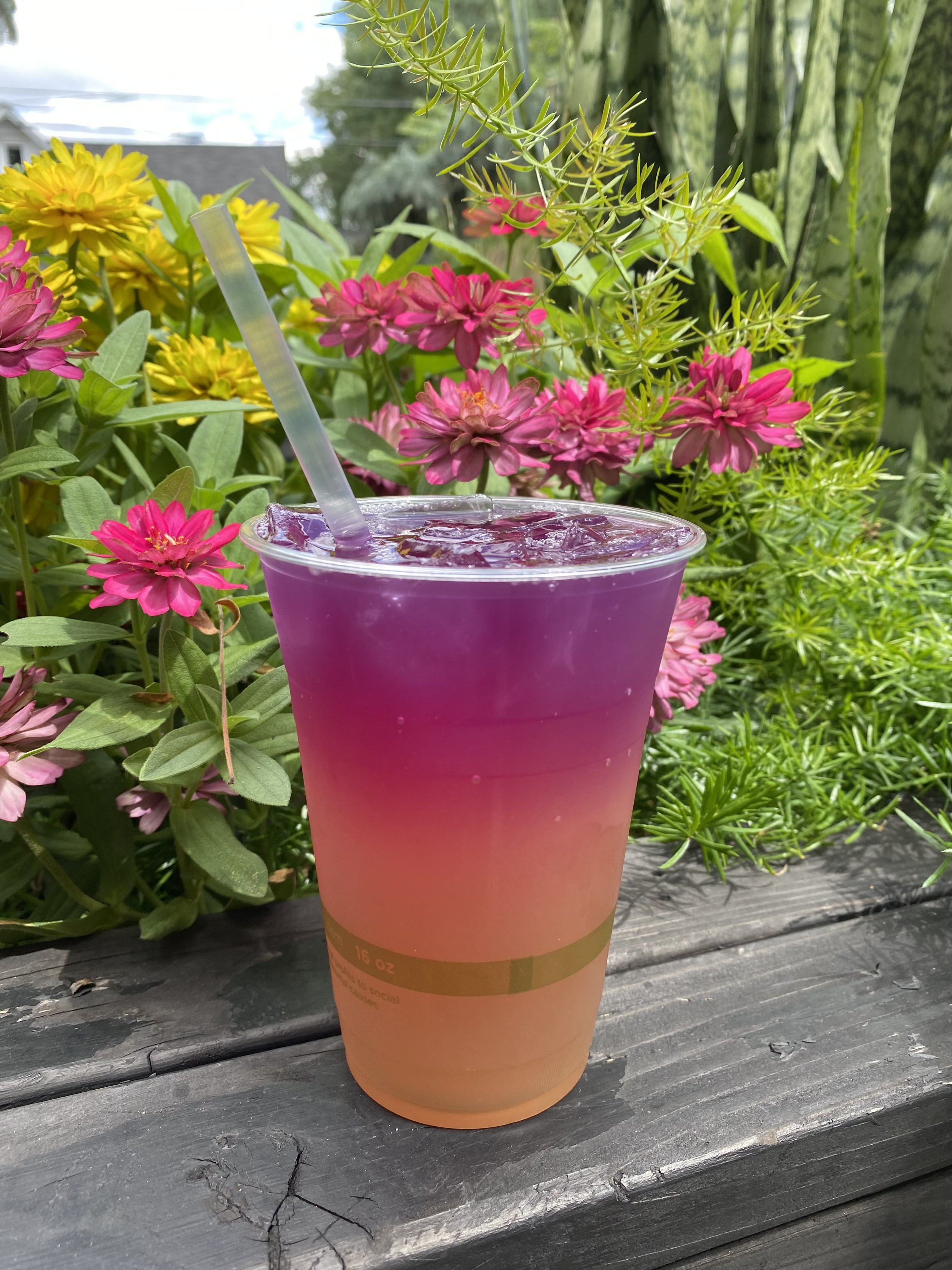 sunset-lemonade.jpeg
