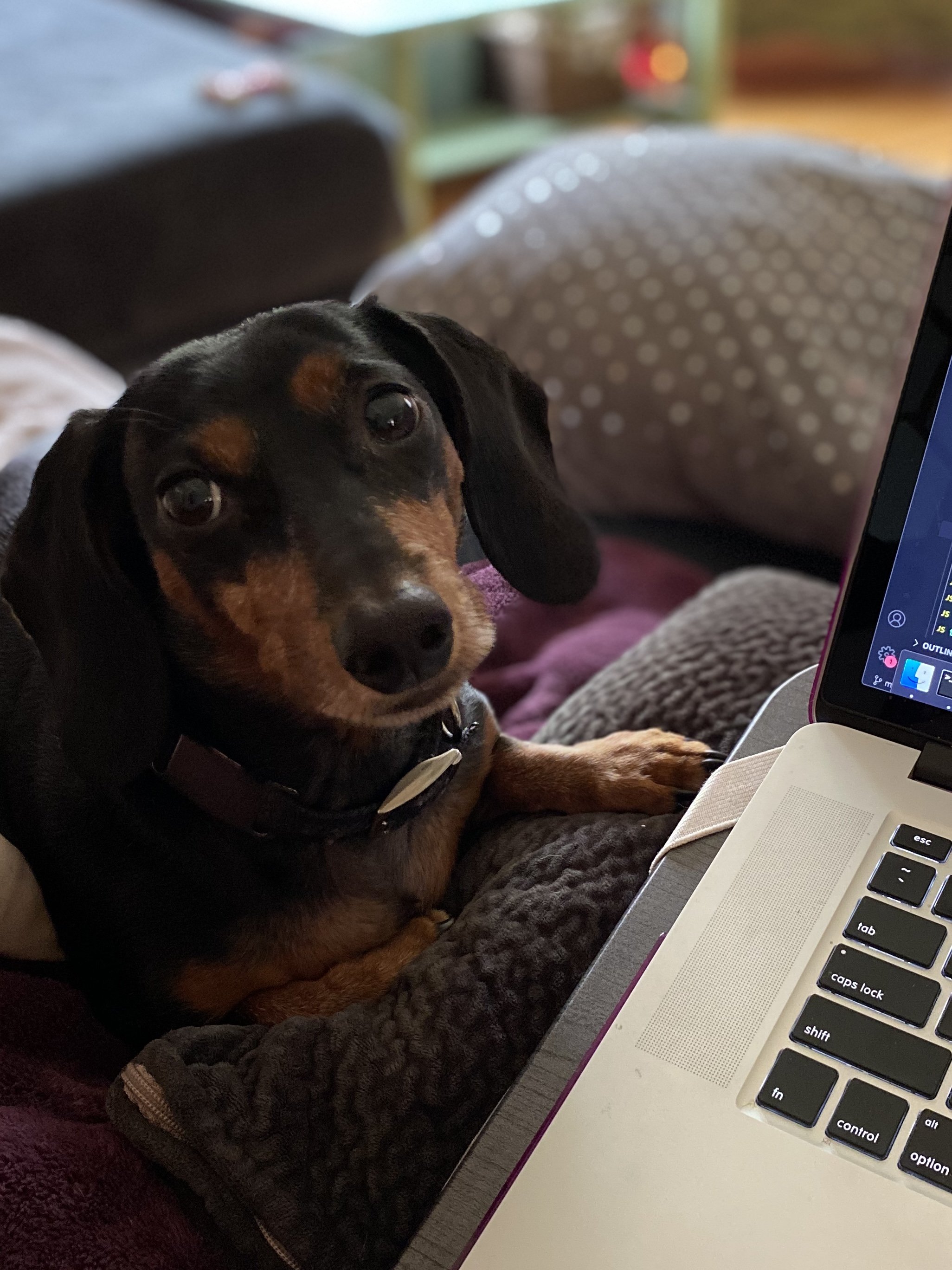 bentley-laptop.jpeg