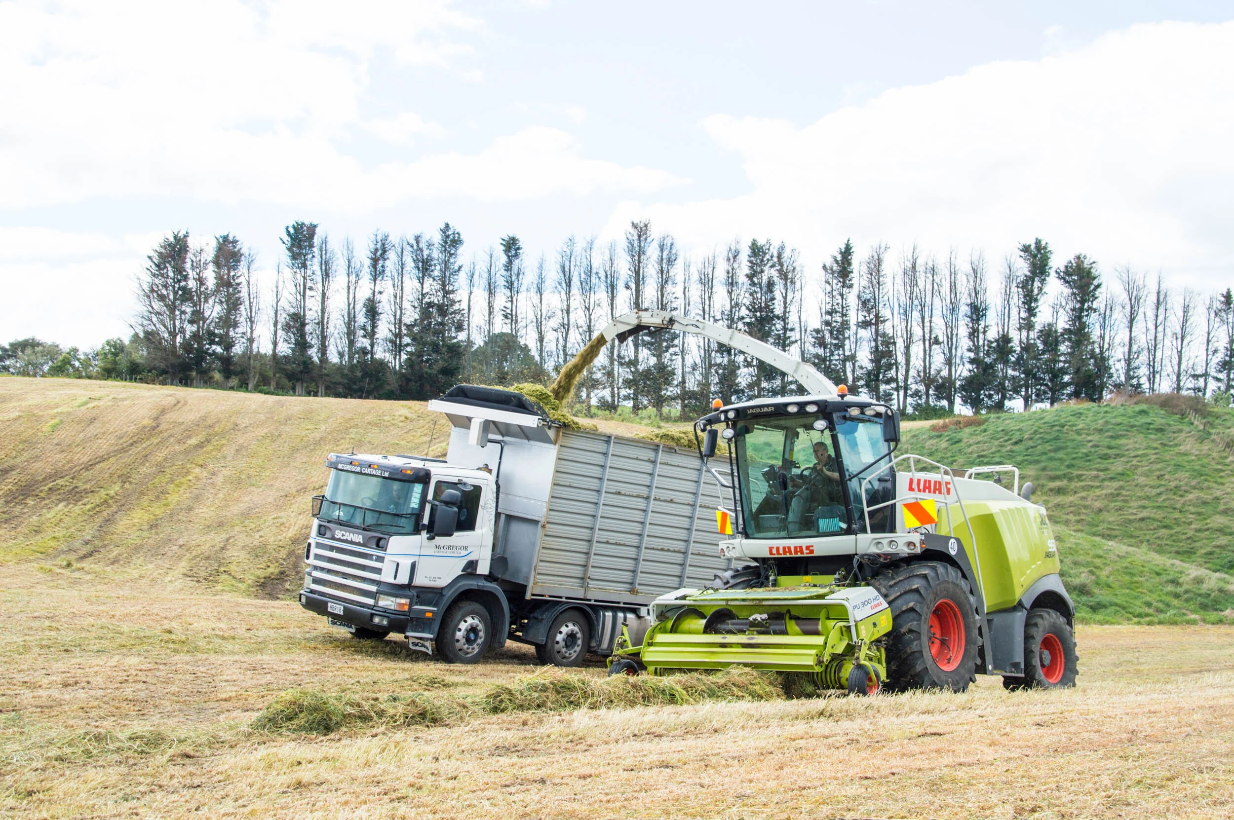 A large agricultural machine is collecting grass, with a truck nearby for unloading, on a grassy field with trees and a cloudy sky in the background.