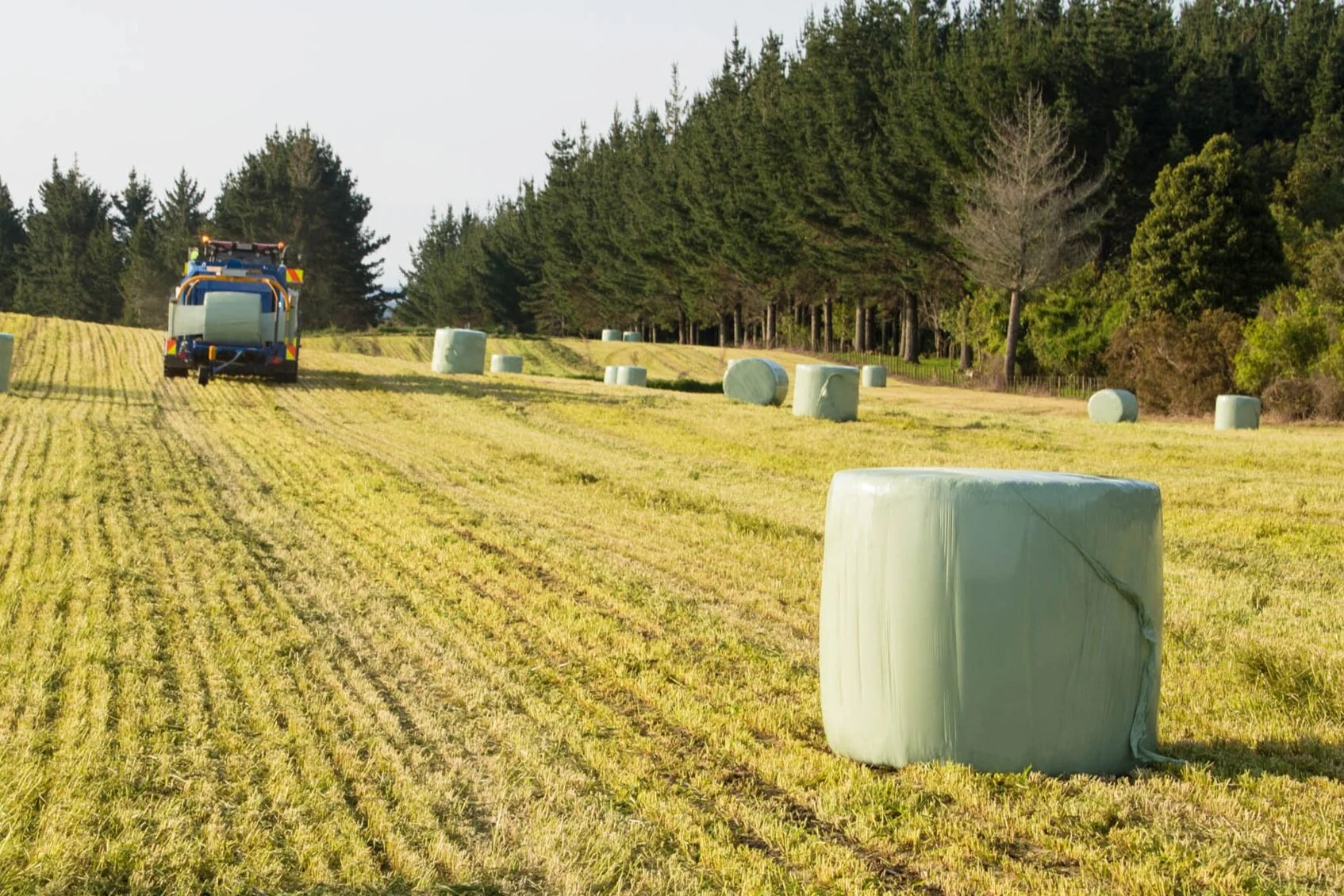 A tractor in a field with large round hay bales wrapped in light green plastic and trees in the background.