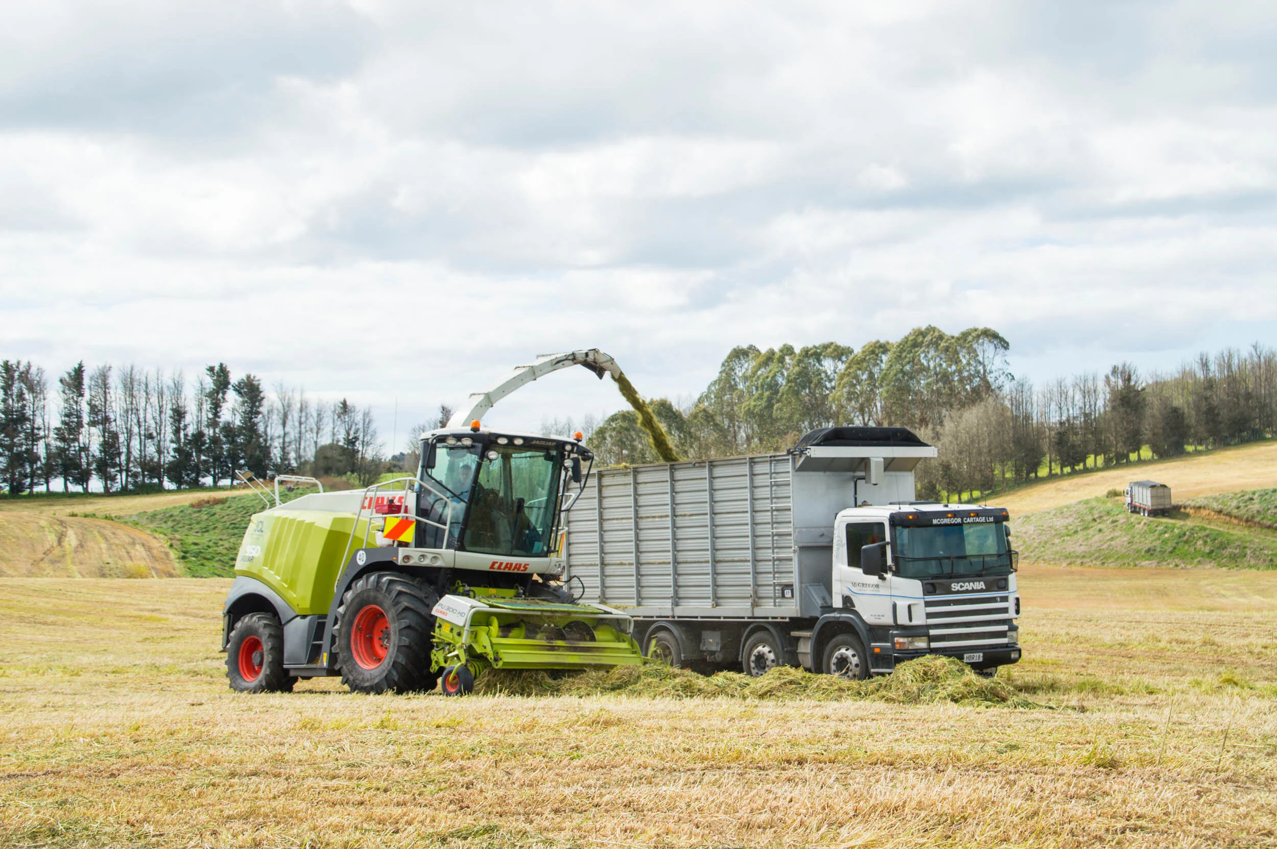 A large combine harvester with CLAAS branding unloading harvested crops into a truck on a farmland during daytime.