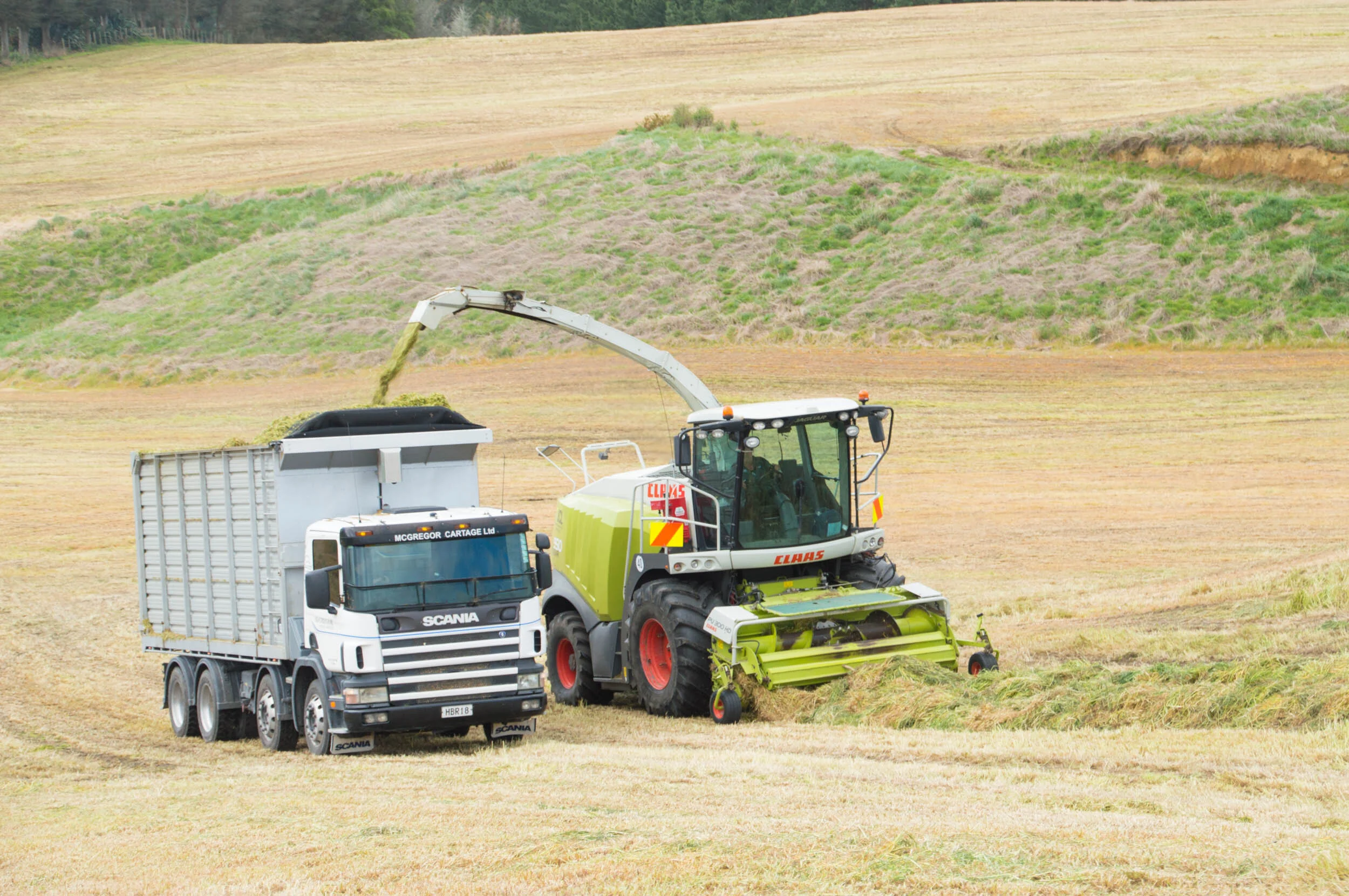A combine harvester transfers harvested grass into a truck in a large field.