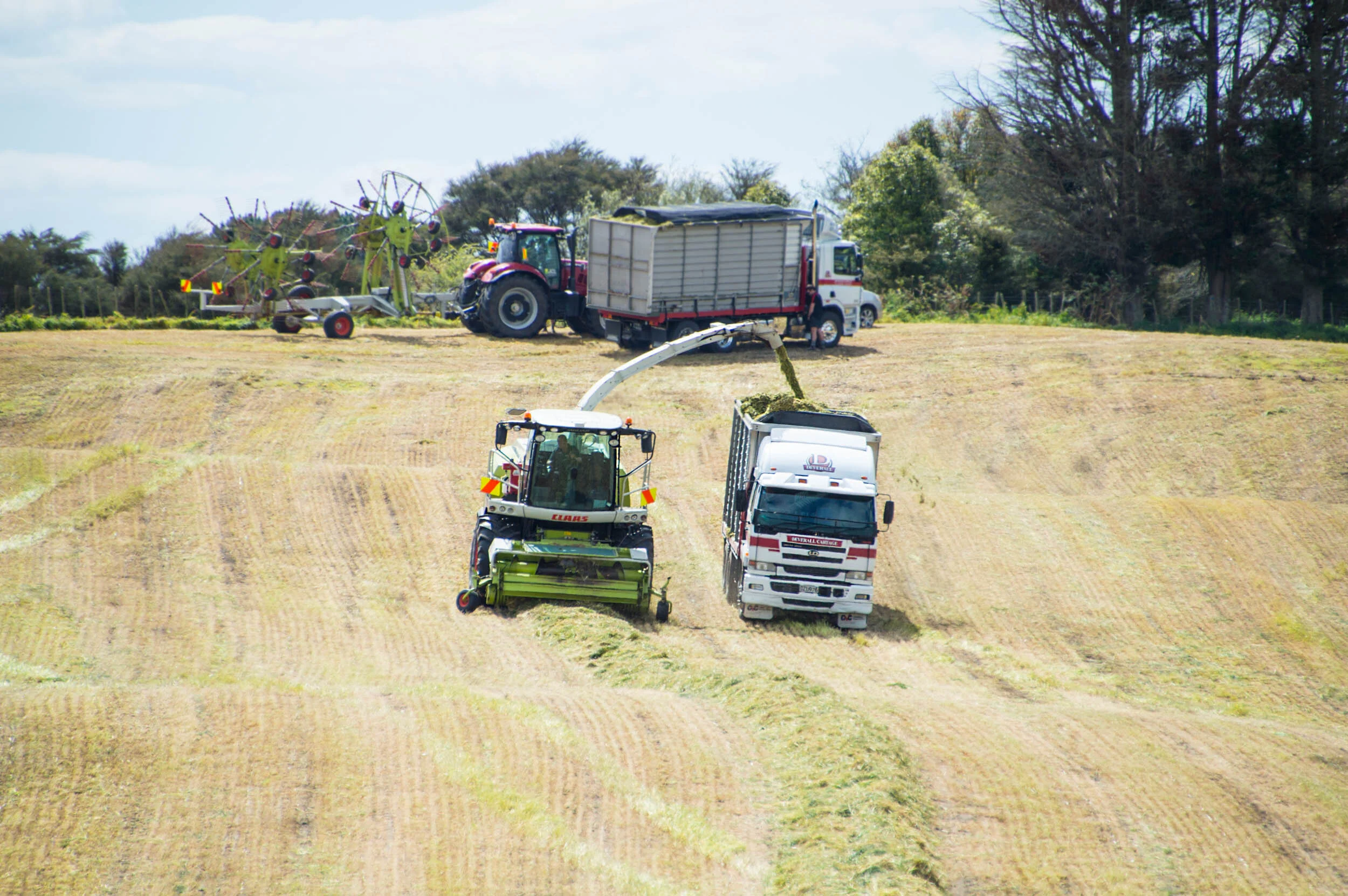 Farm machinery harvesting a field, with a combine harvester cutting crops, a tractor, and trucks parked nearby.