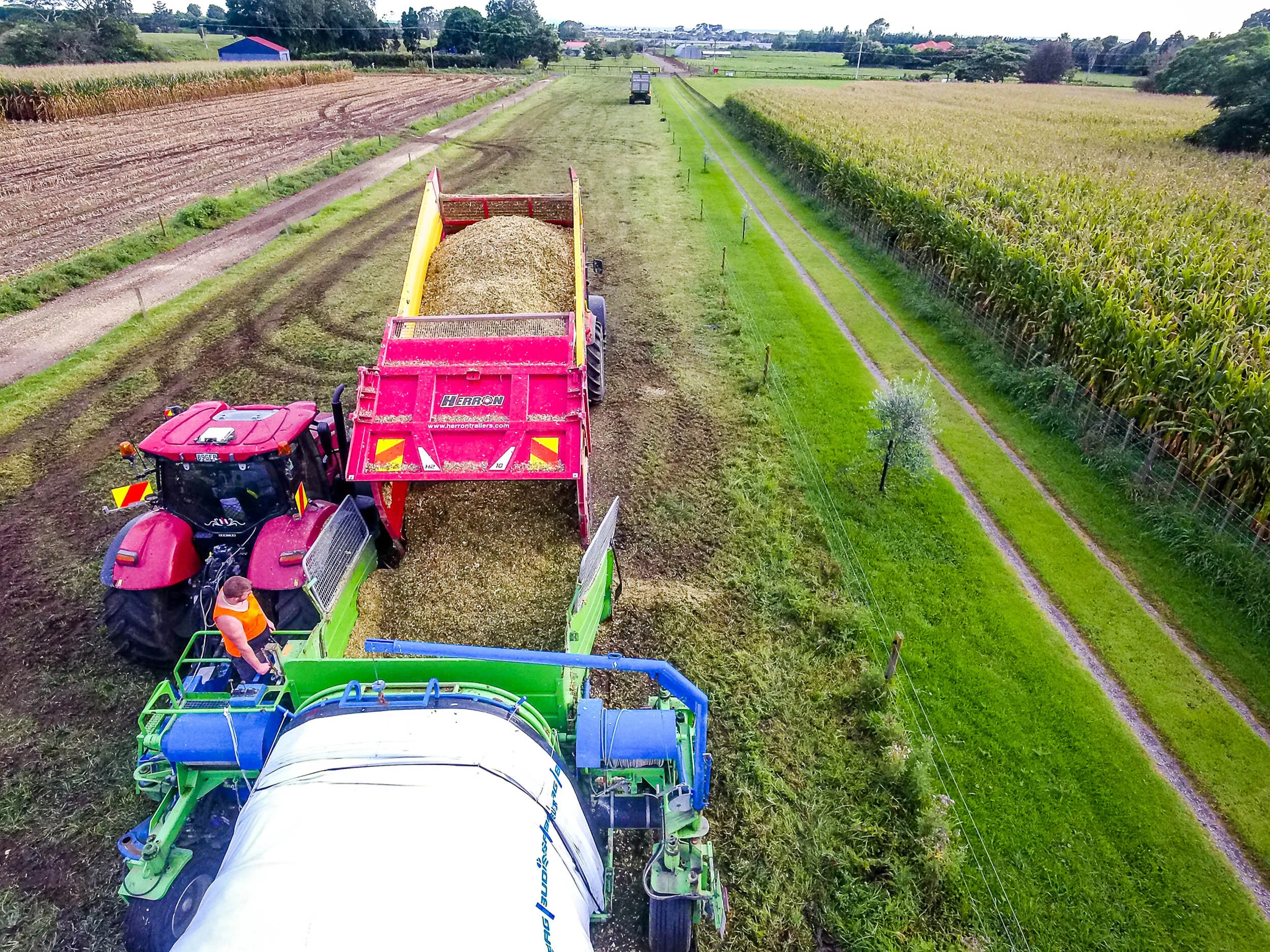 Aerial view of a tractor unloading harvested crops into a large green trailer on a farm field, with a second tractor in the background, cornfields on the right, and rows of crops on the left.