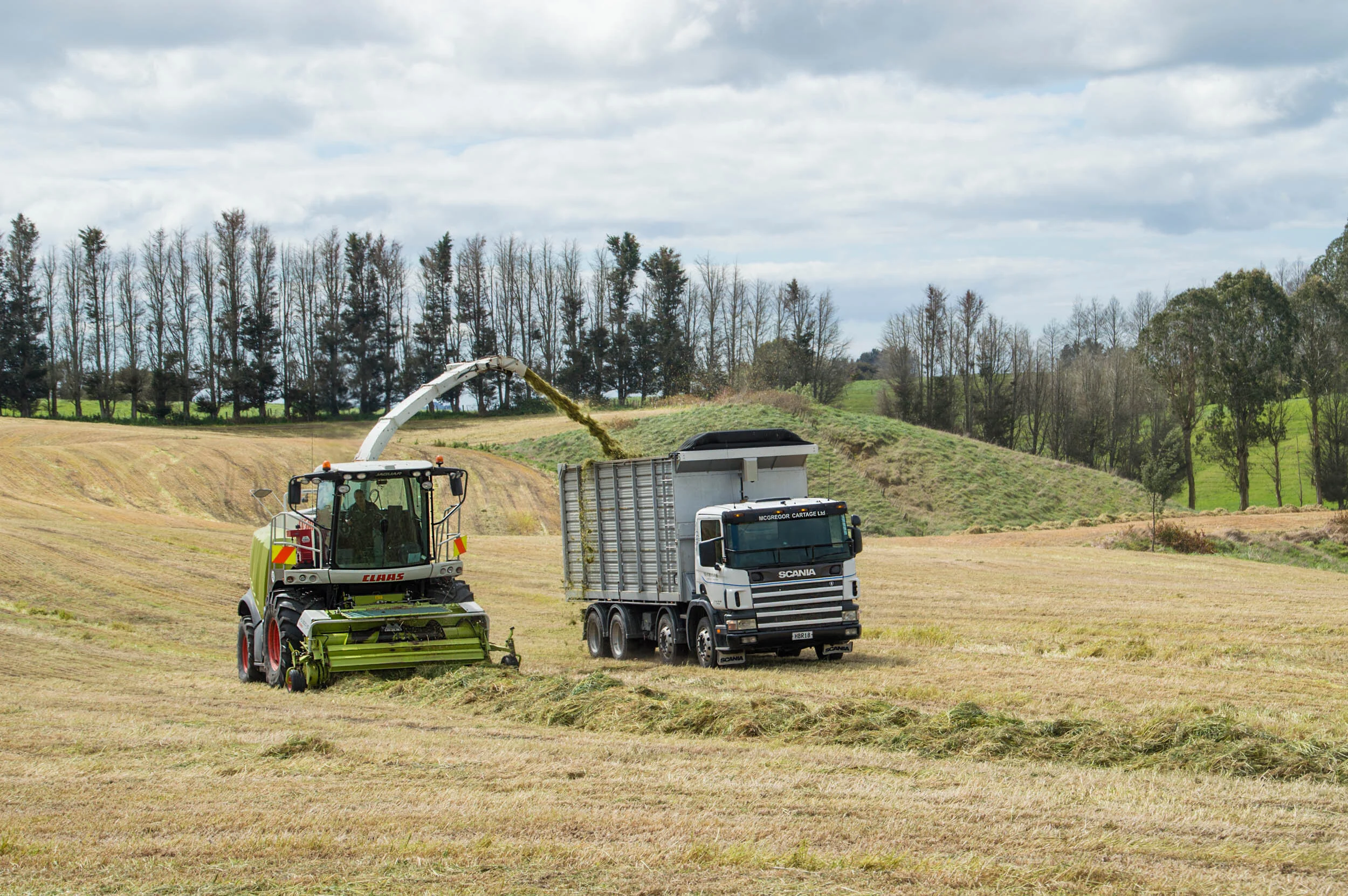 Farm machinery working in an open field with a forage harvester transferring harvested crop into a truck, surrounded by trees and a partly cloudy sky.