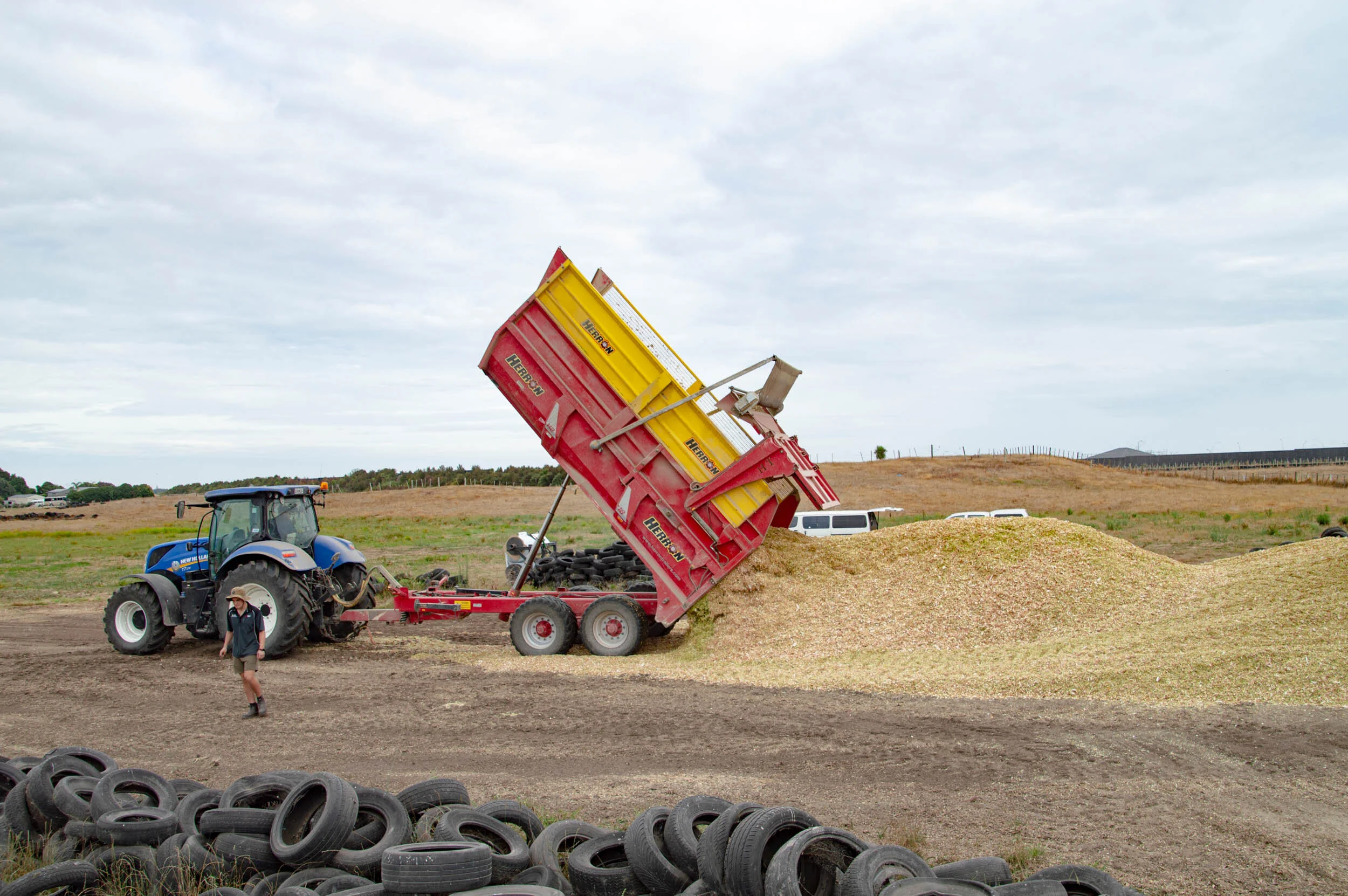 A blue tractor with a trailer dumping a load of grain onto a field, with a person walking nearby and a pile of tires in the foreground.