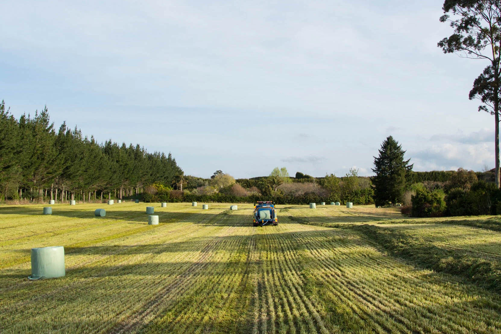 A tractor in a farmland with neatly rolled hay bales under a partly cloudy sky.