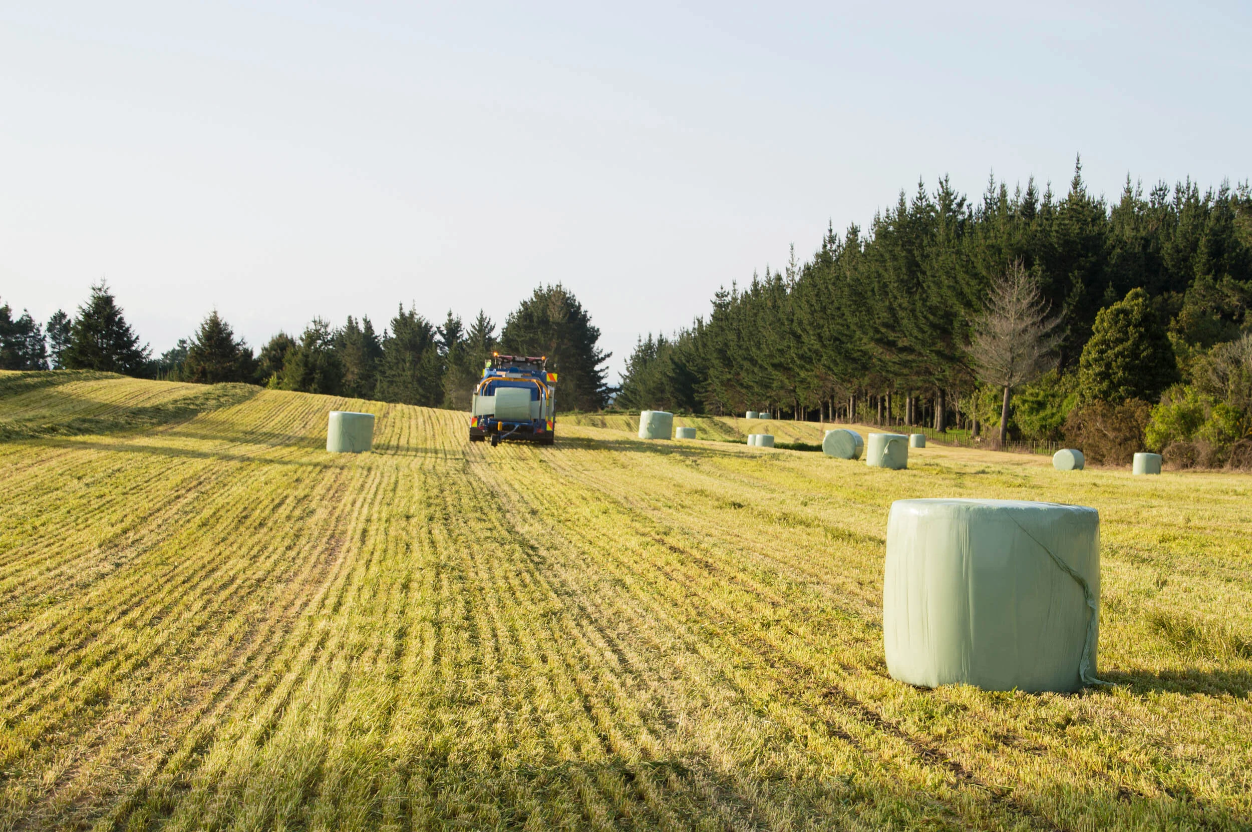 A tractor on a field with rolled hay bales, surrounded by trees under a clear sky.