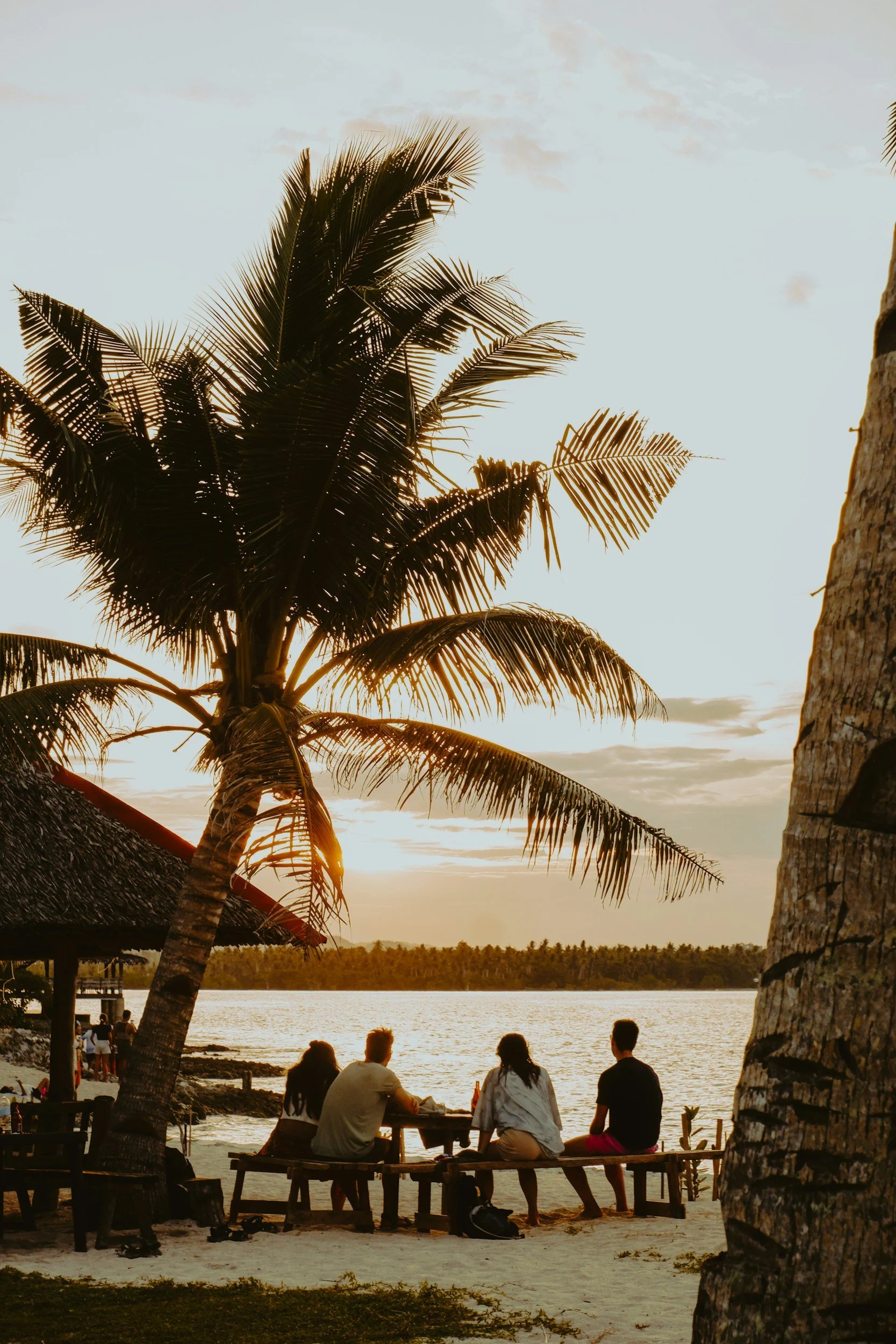 People sitting and relaxing at a beach during sunset, with palm trees and water in the background.