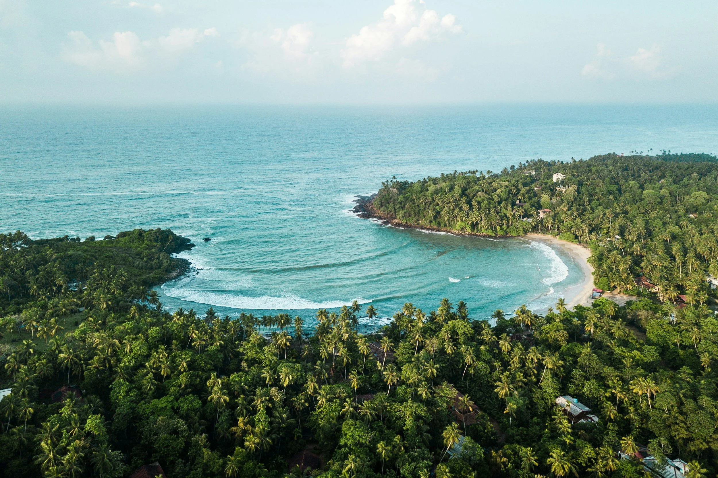 Aerial view of a tropical coastline with a dense green forest, a sandy beach, and the blue ocean.