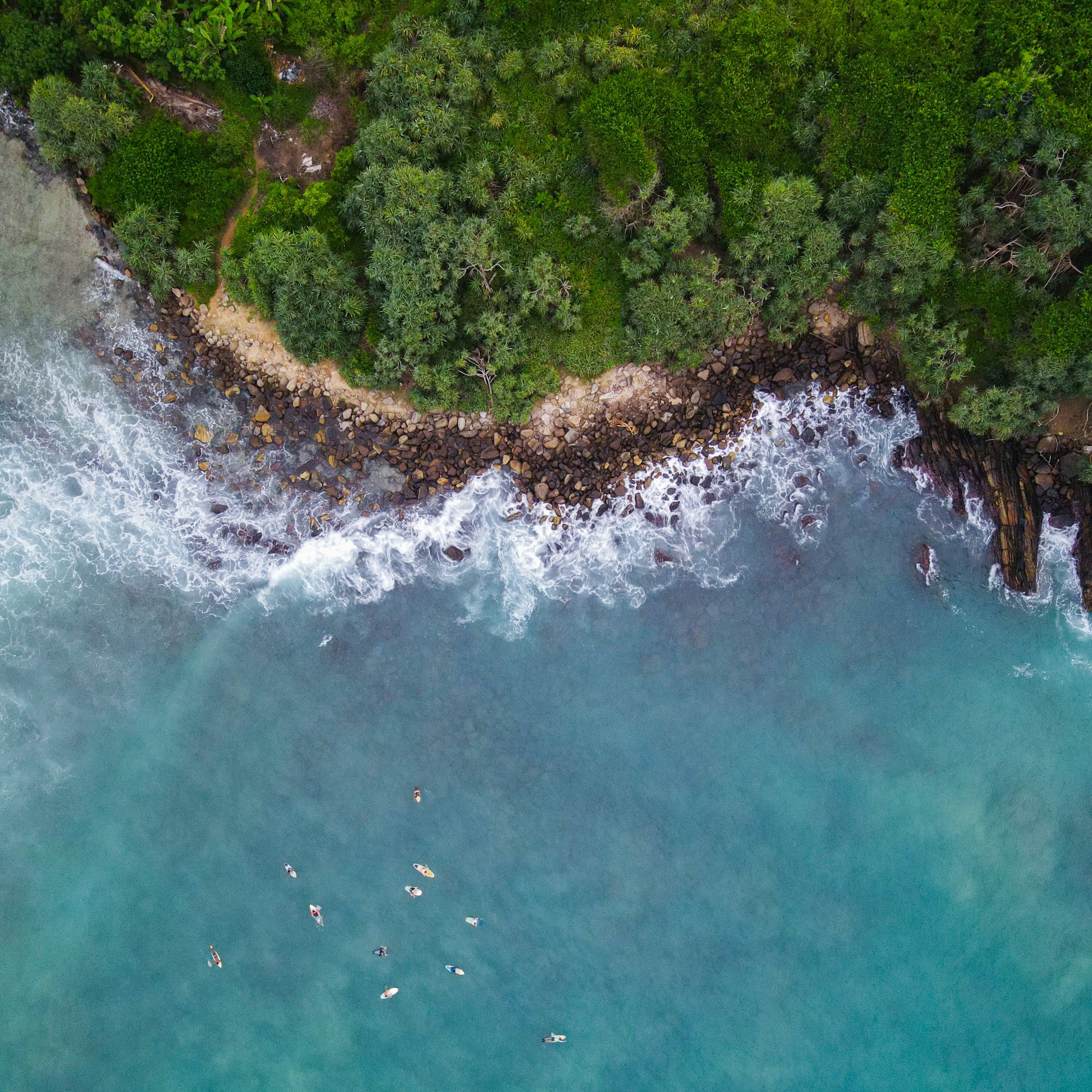 Aerial view of a group of sailboats in the ocean near a lush green coastline with rocks and trees.