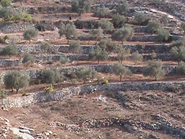 What Inspires the Land?