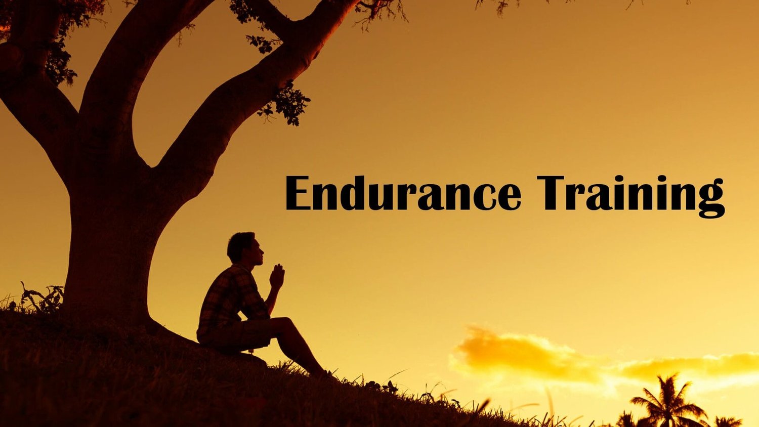 Endurance Training episode artwork