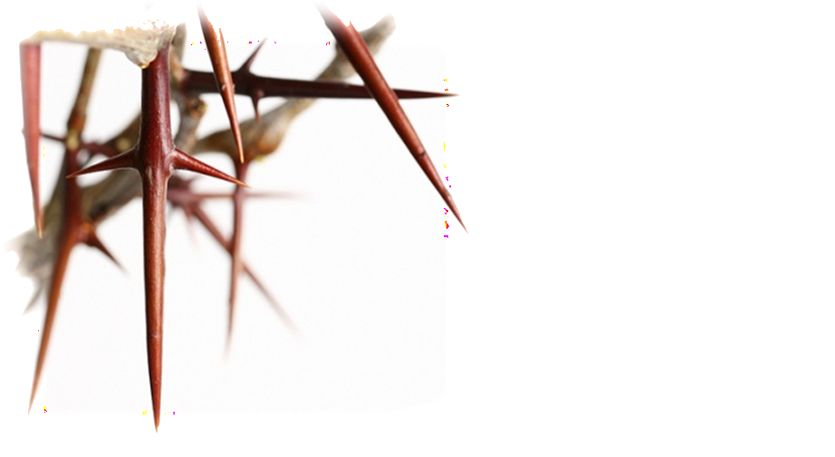 Maundy Thursday 2026