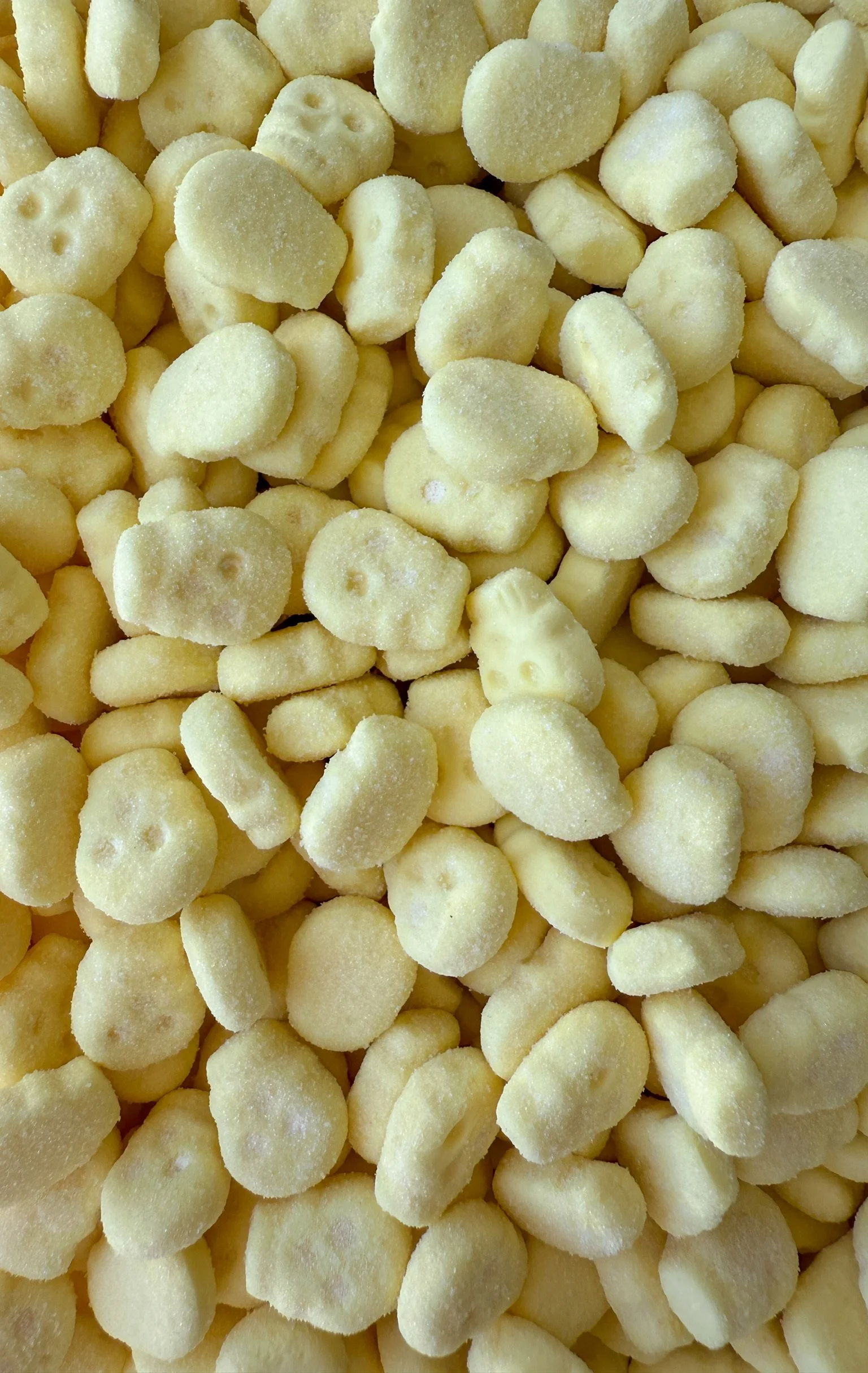 Sour Tropical Mini Skulls