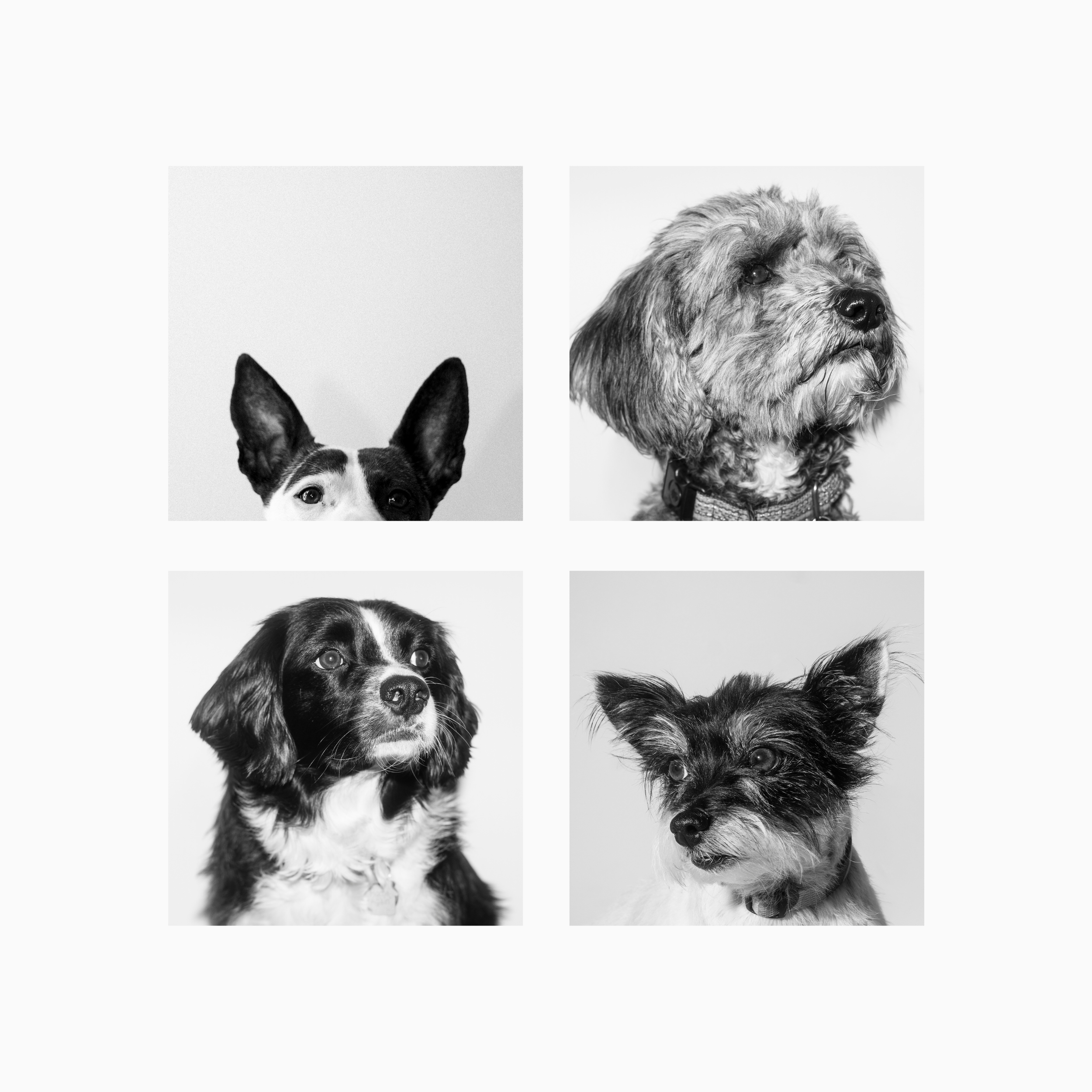 good girls & good boys