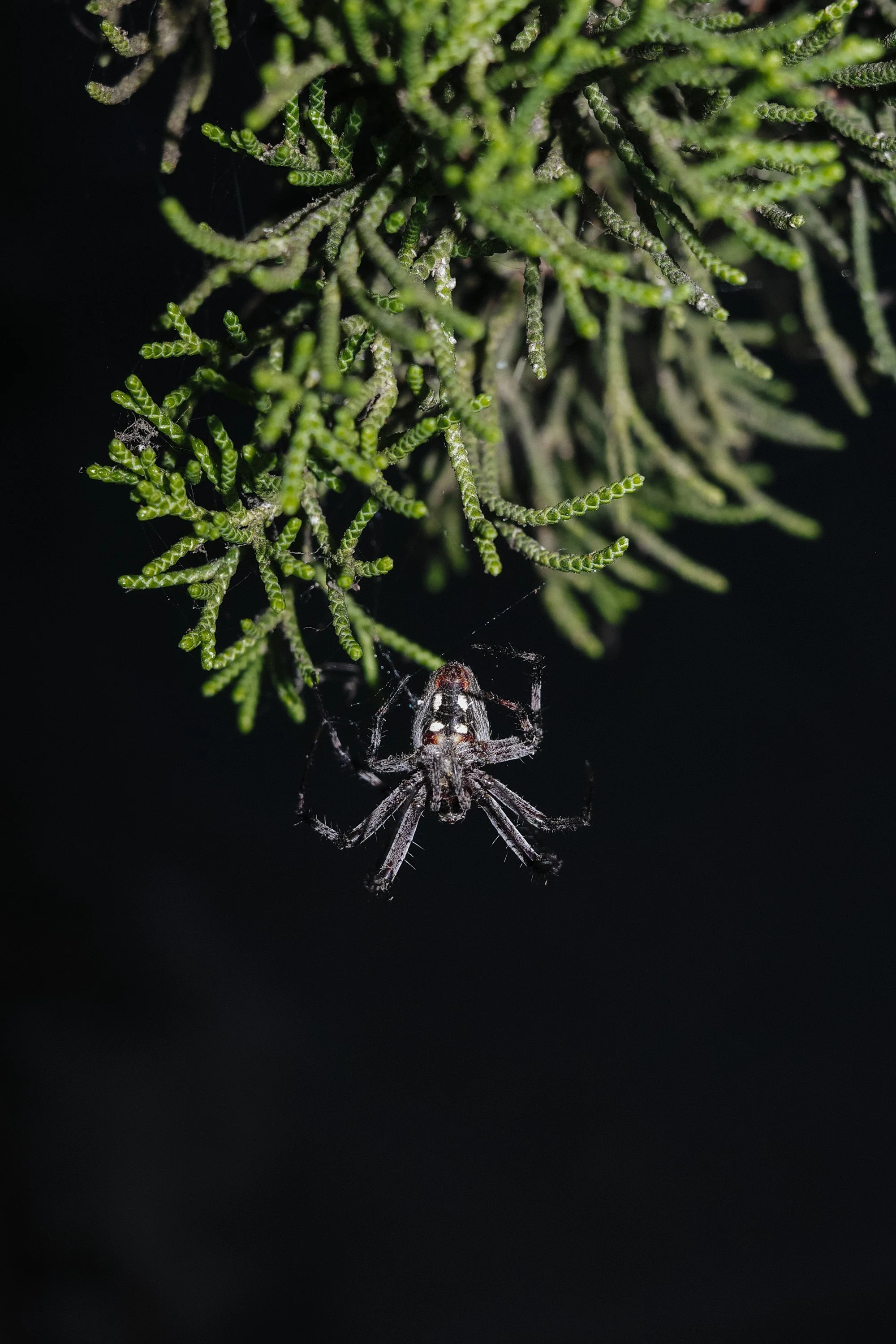260901_September-1.jpg