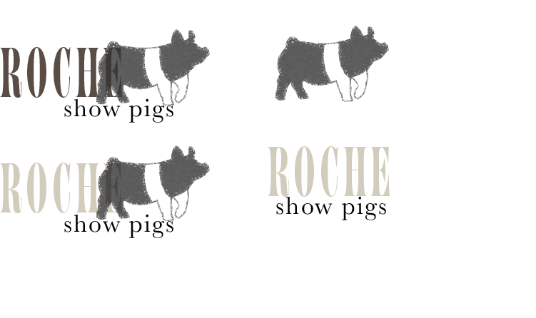 ROCHELOGOS2.png