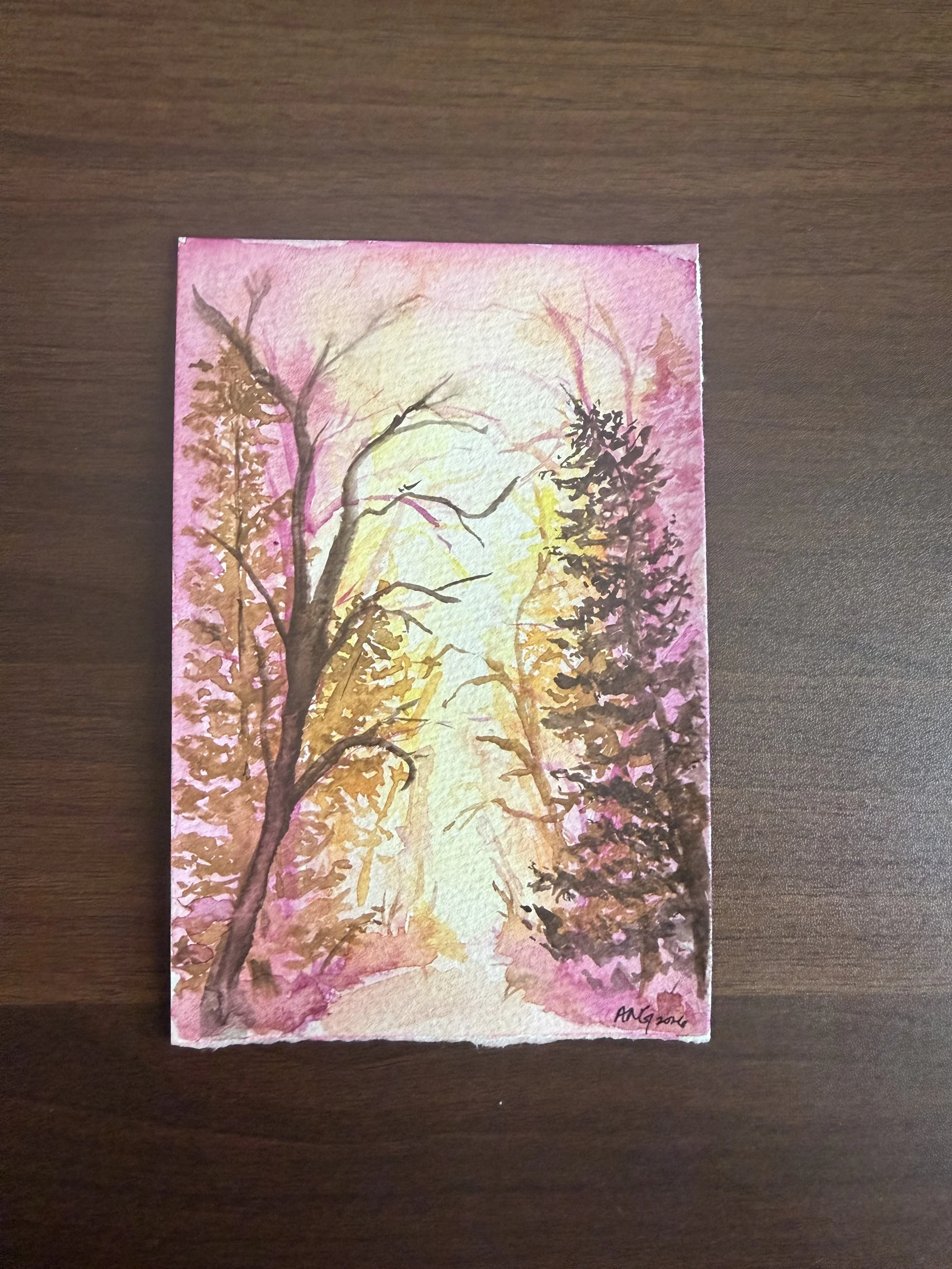 I Went To The Woods 1.jpeg