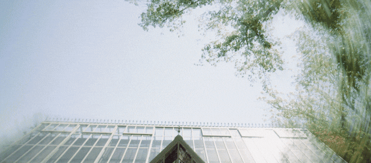 Looking up at a modern glass building with trees and sky overhead.
