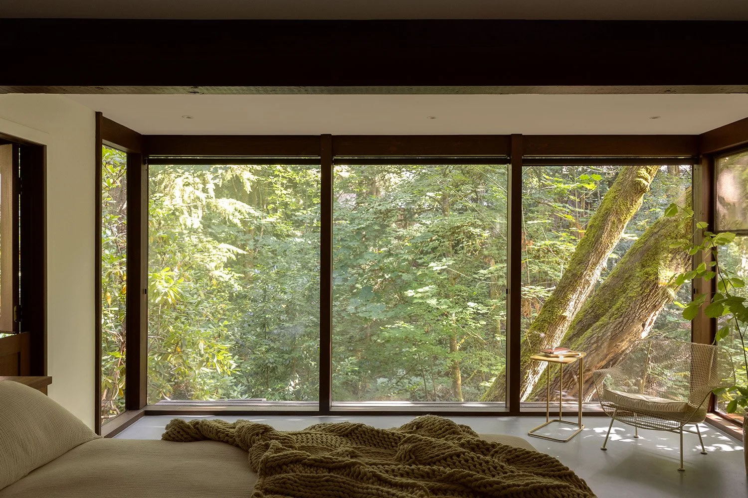 chadbourne doss architects-the burrow 15.jpg