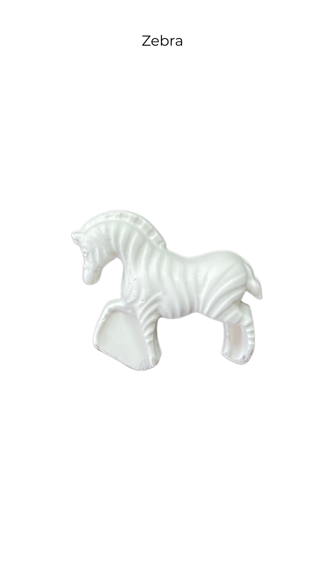 Zebra | Animals | ANM-016