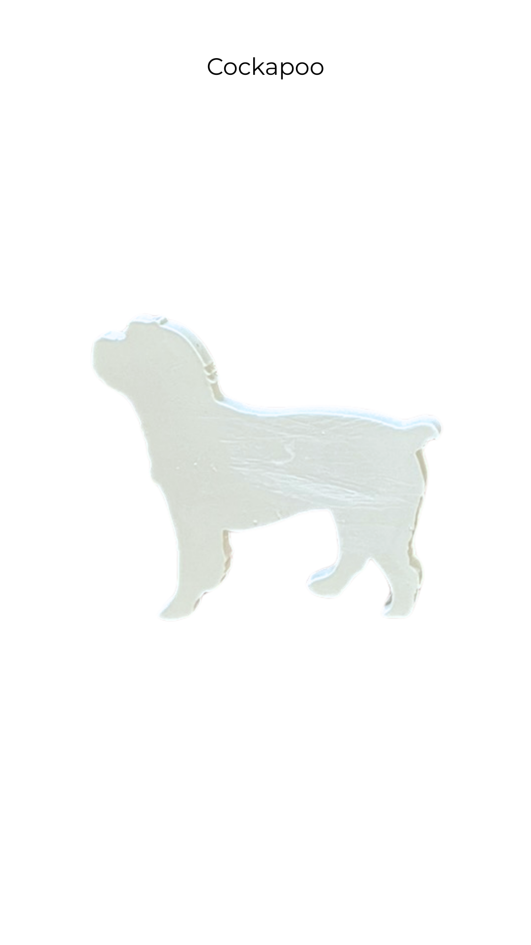 Cockapoo | Dogs | DOG-003
