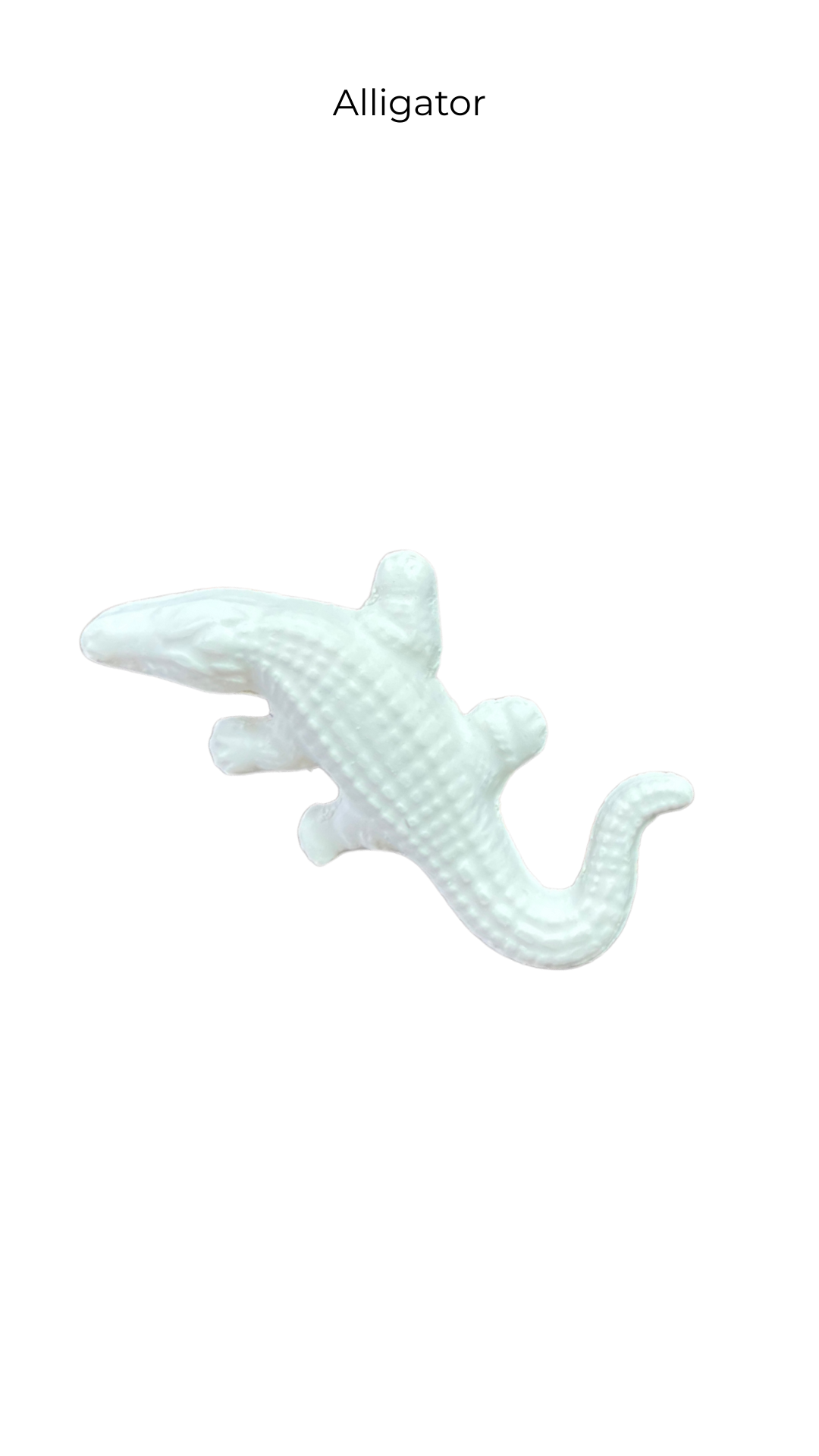 Alligator | Animals | ANM-001