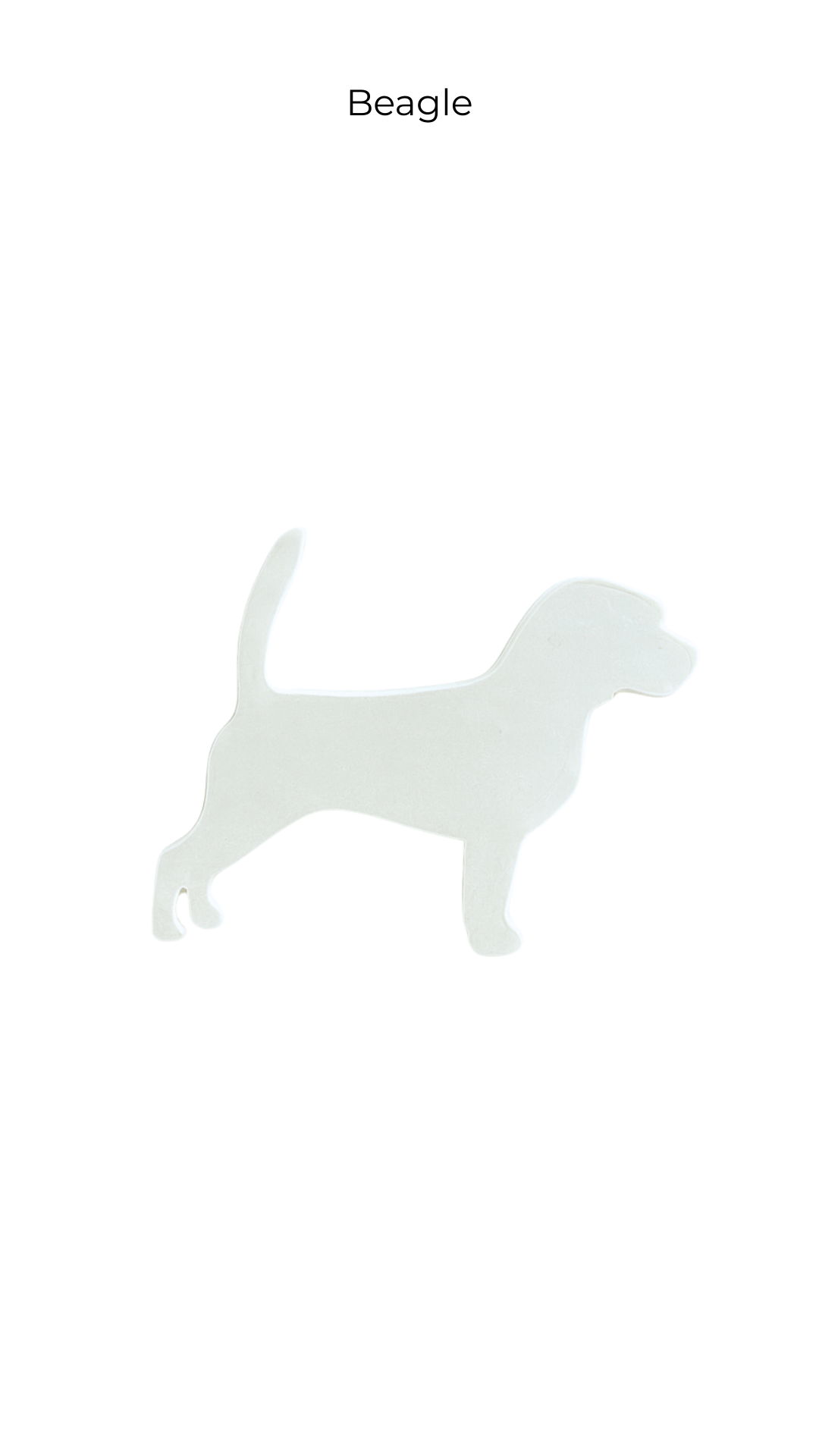 Beagle | Dogs | DOG-001