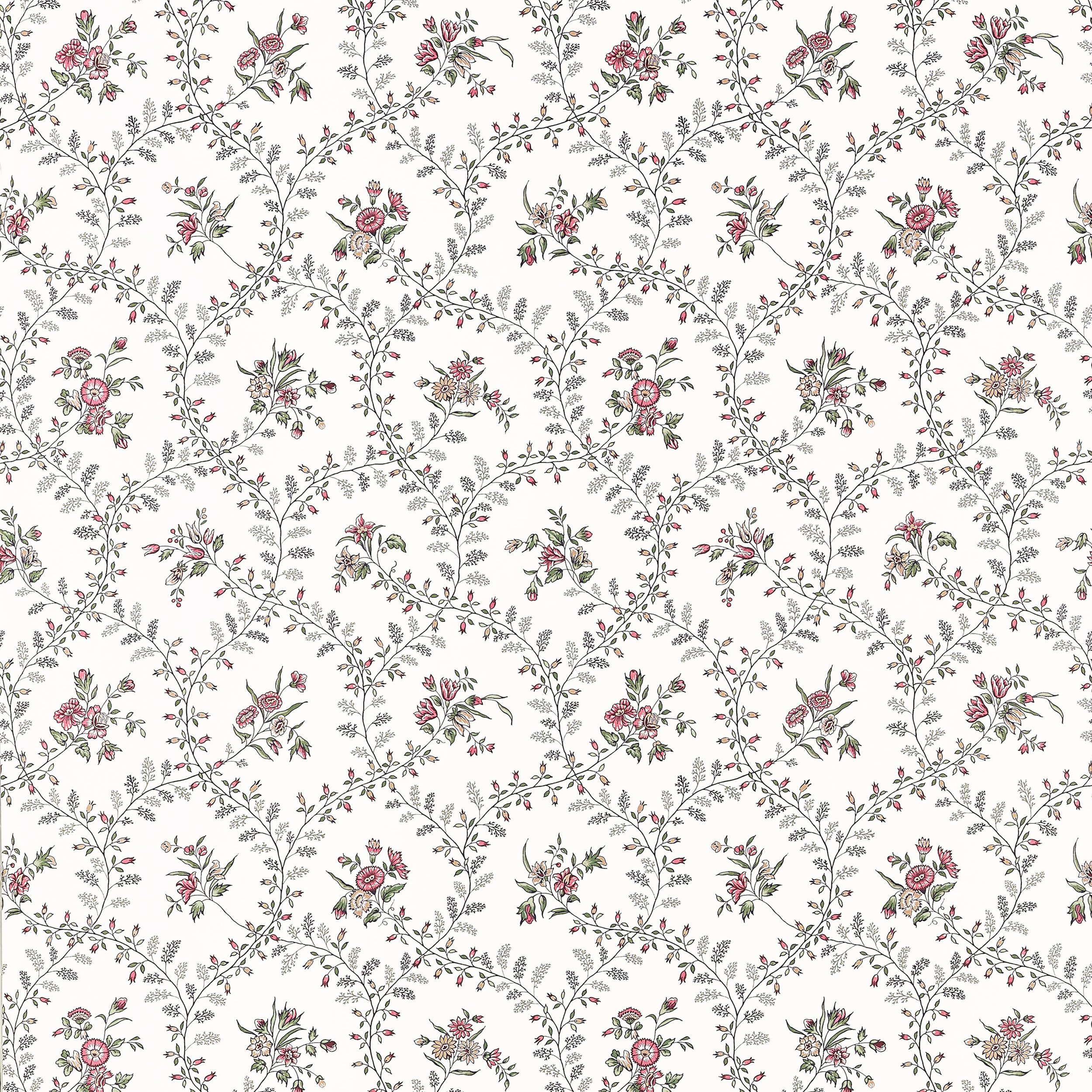 Juliette Trail | Pink | Botanical | AT10764