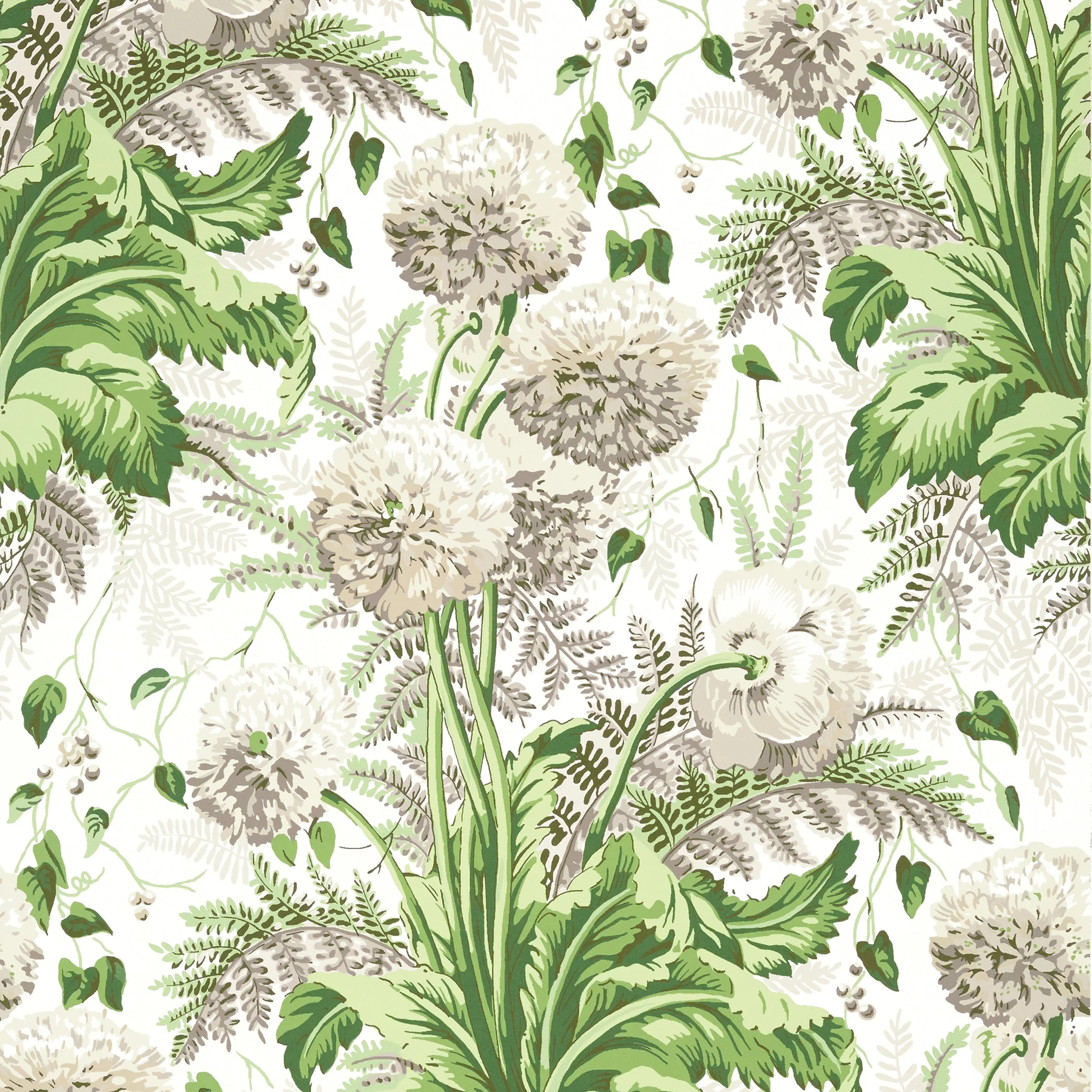 Dahlia | Green | Botanical | AT24538