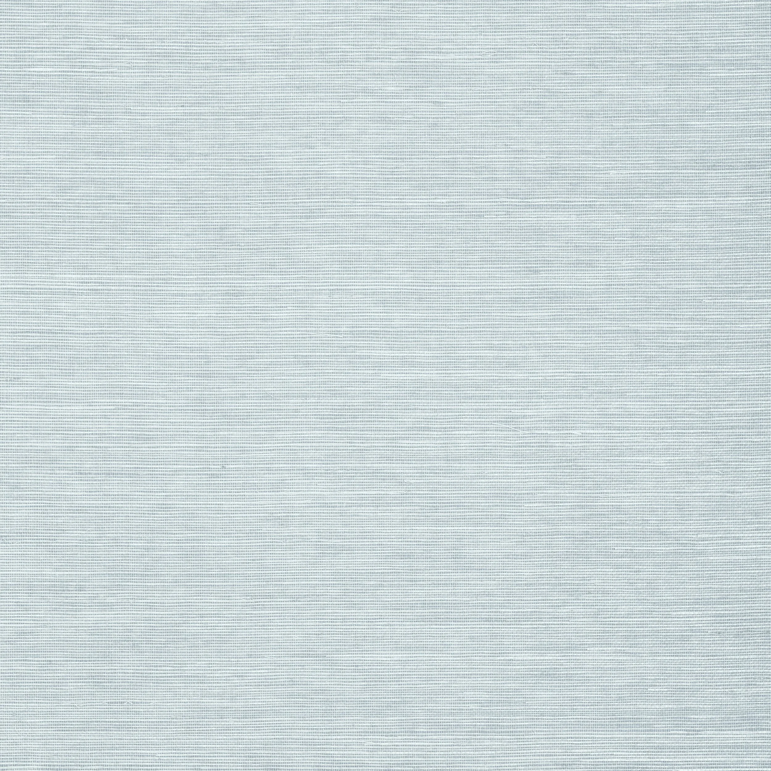 Sisal | Blue | Solid | T5021