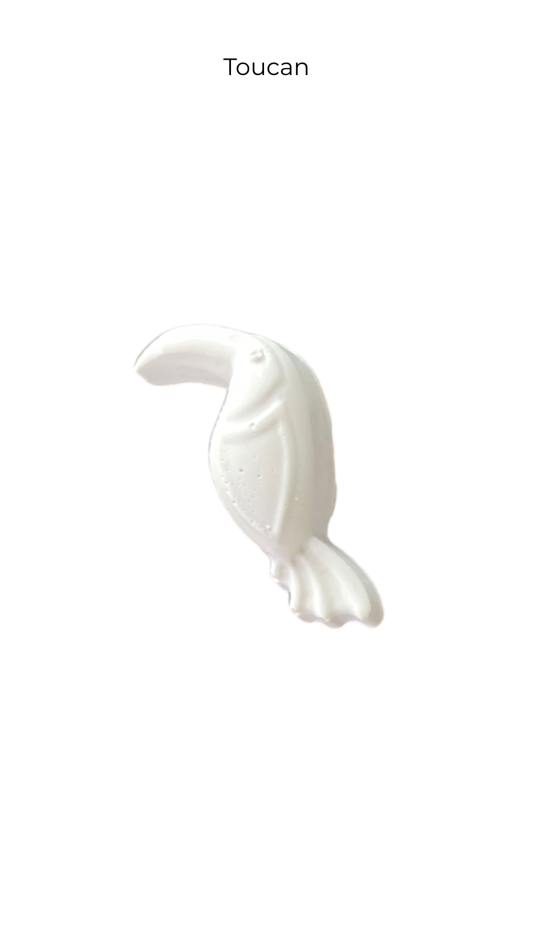 Toucan | Animals | ANM-013