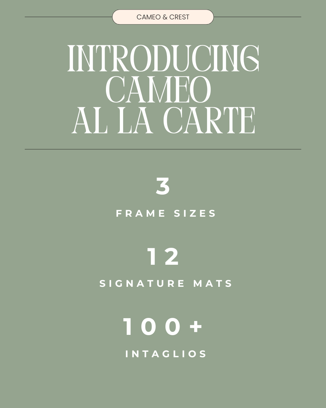 Cameo a la carte new (1).png