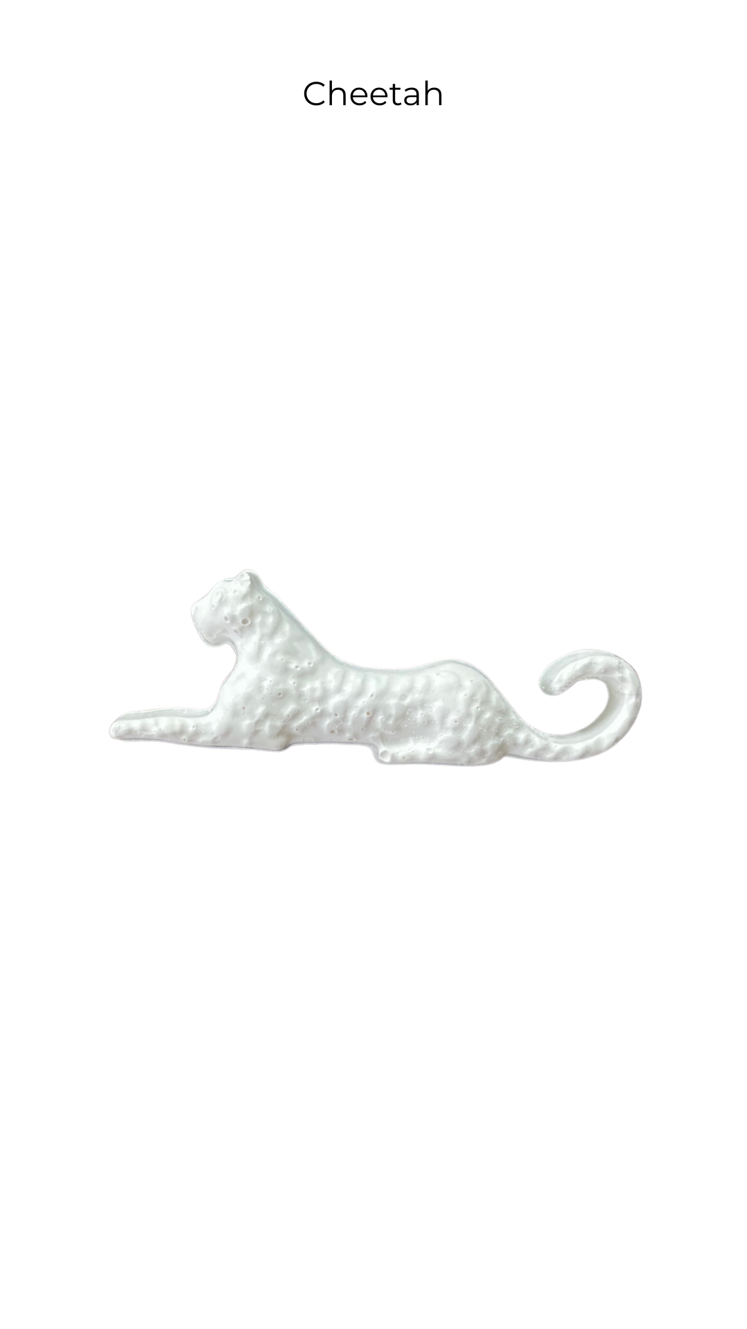 Cheetah | Animals | ANM-005