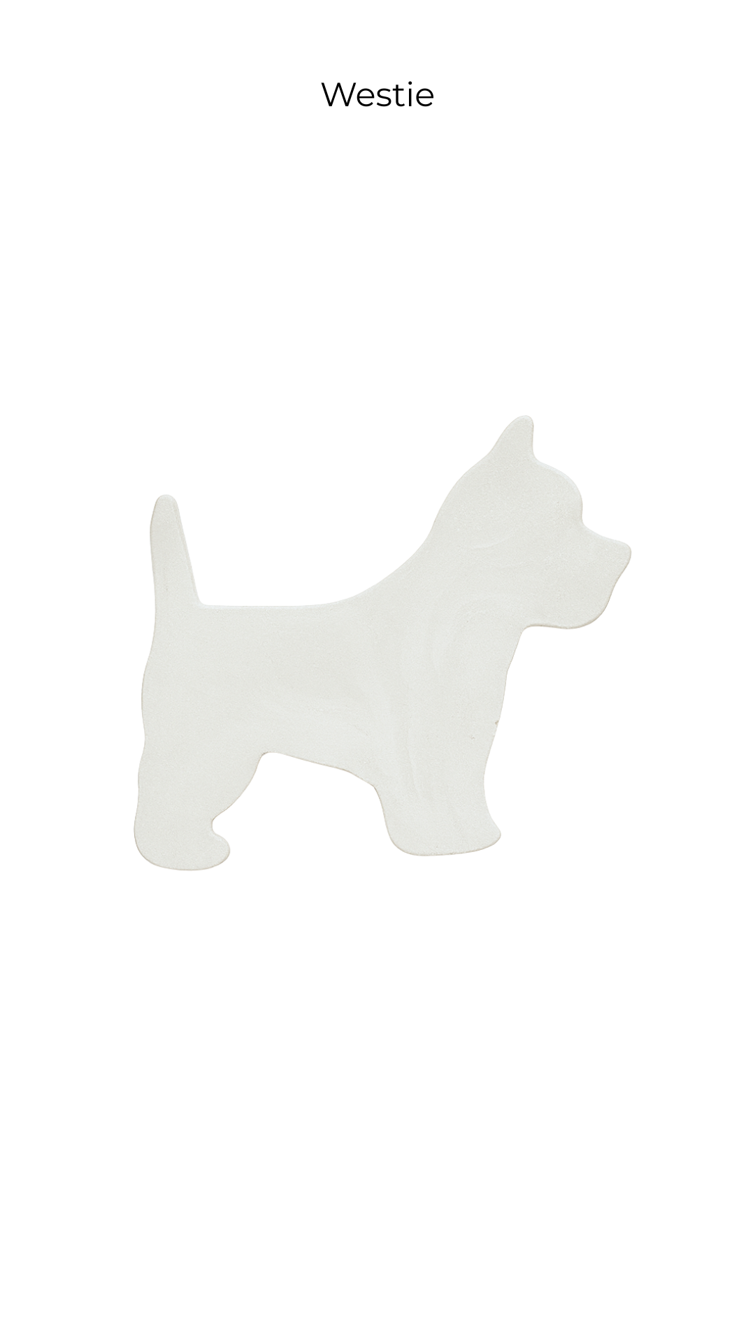 NEW_Intaglio Library (1).png